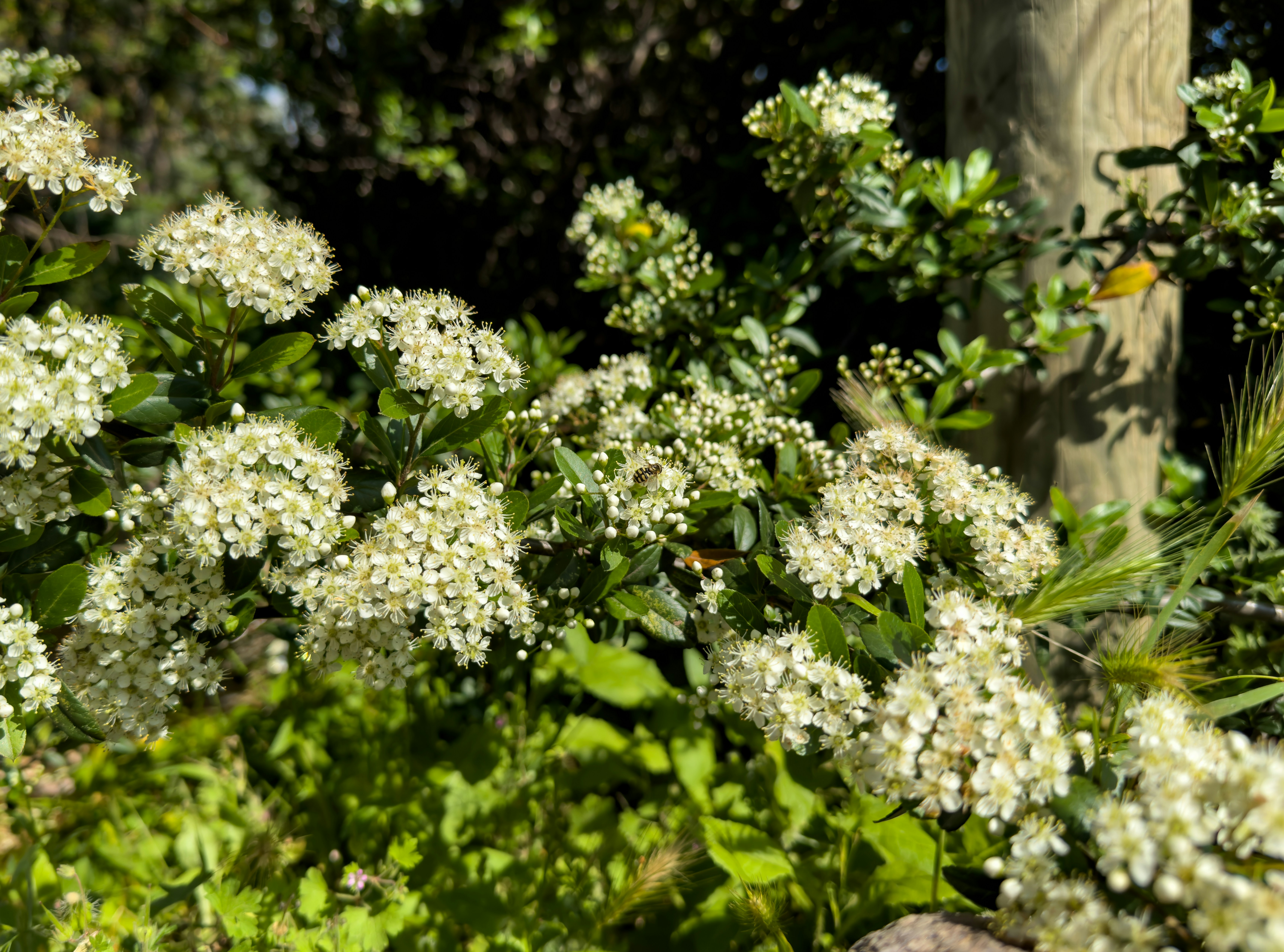 Sıfır Atık Yaşam