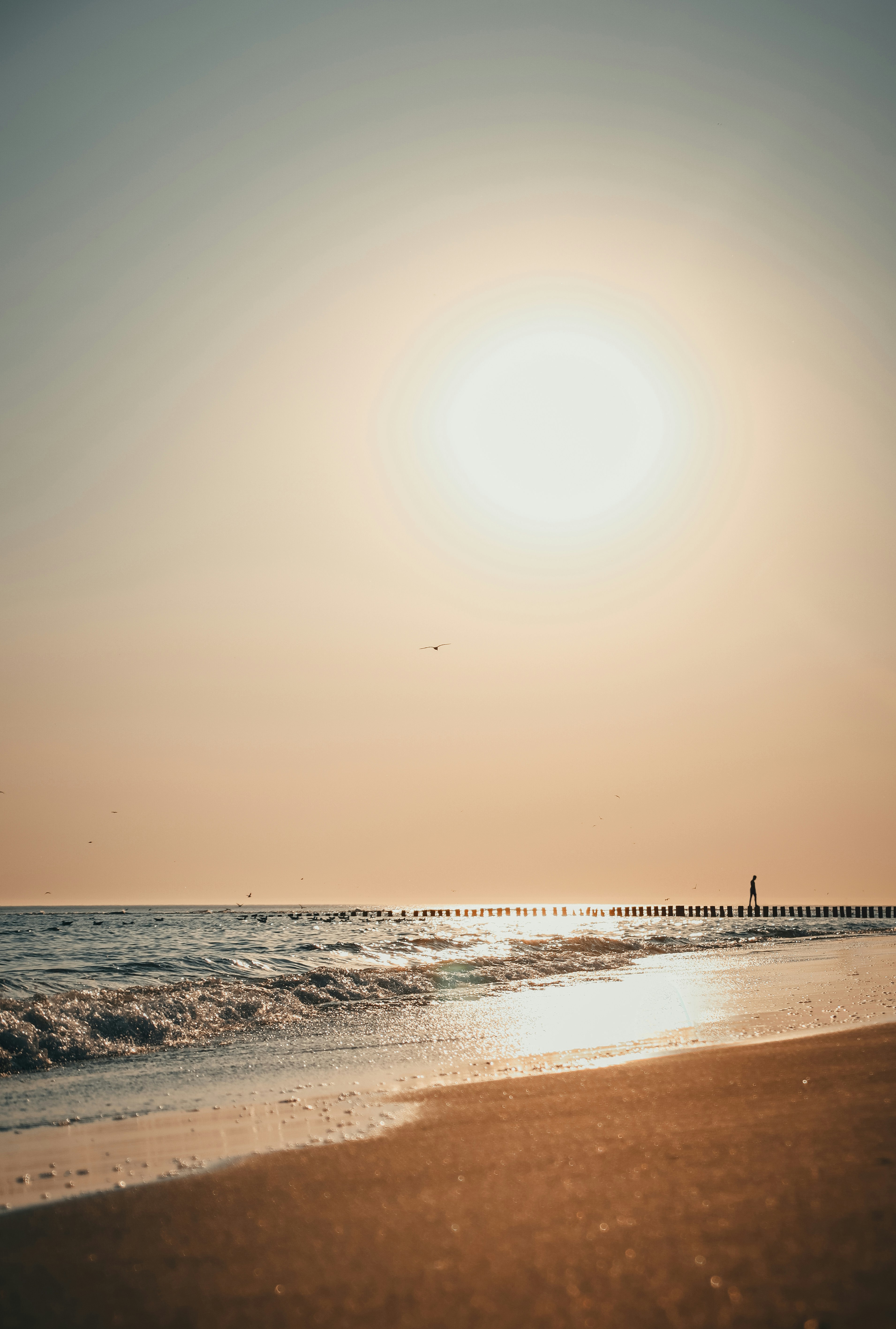 Una persona parada en una playa junto al océano