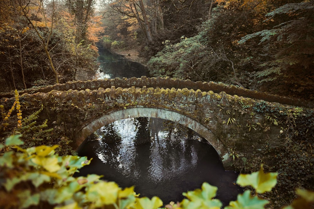 a stone bridge over a river surrounded by trees