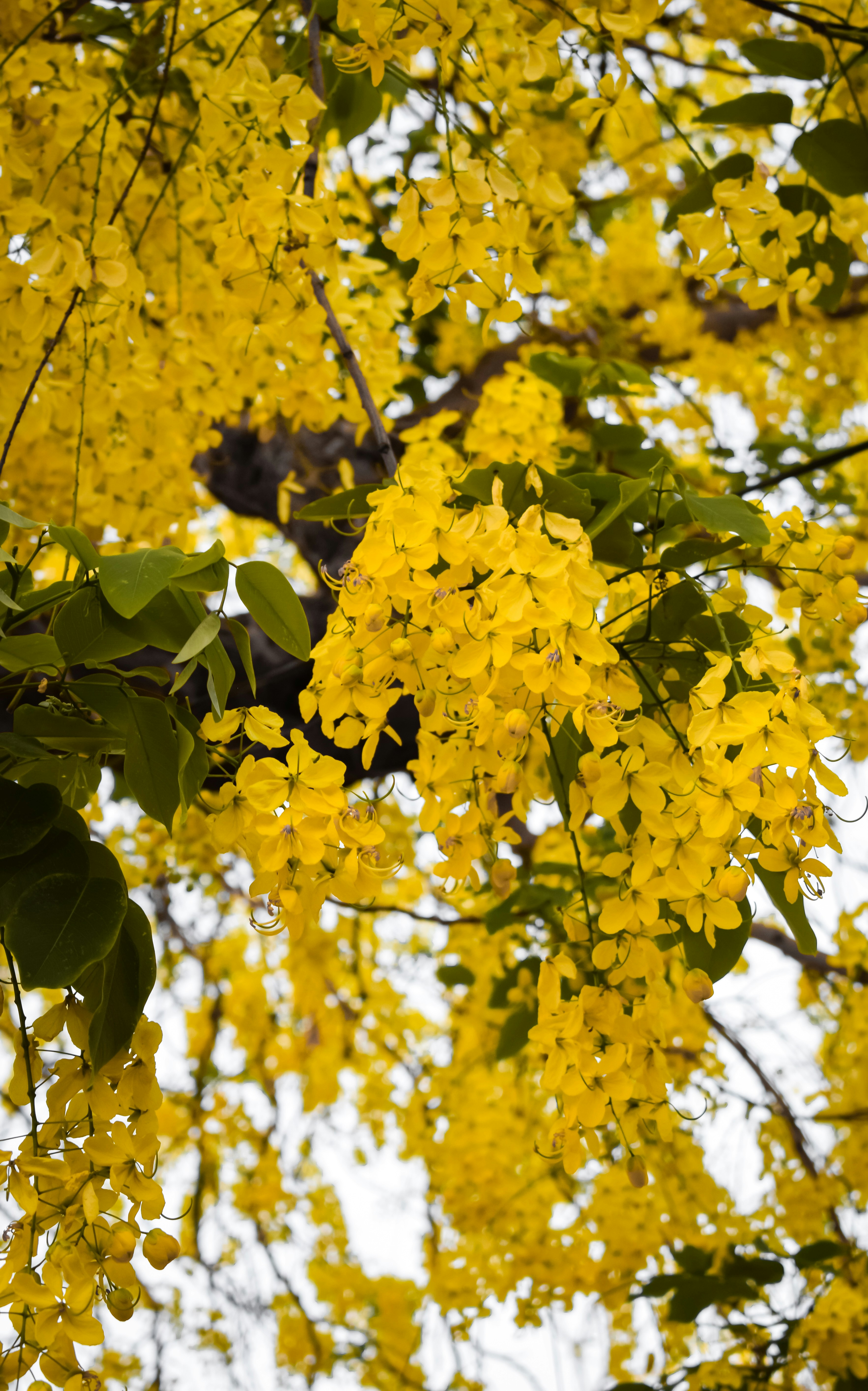 Photo by ahmadattari192