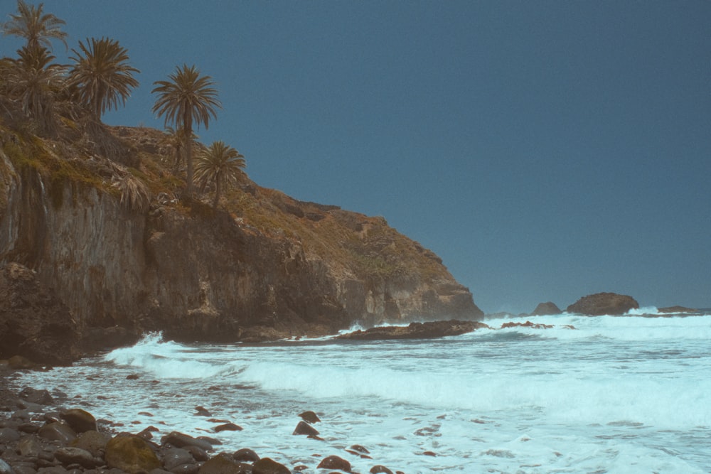 a view of a rocky beach with palm trees