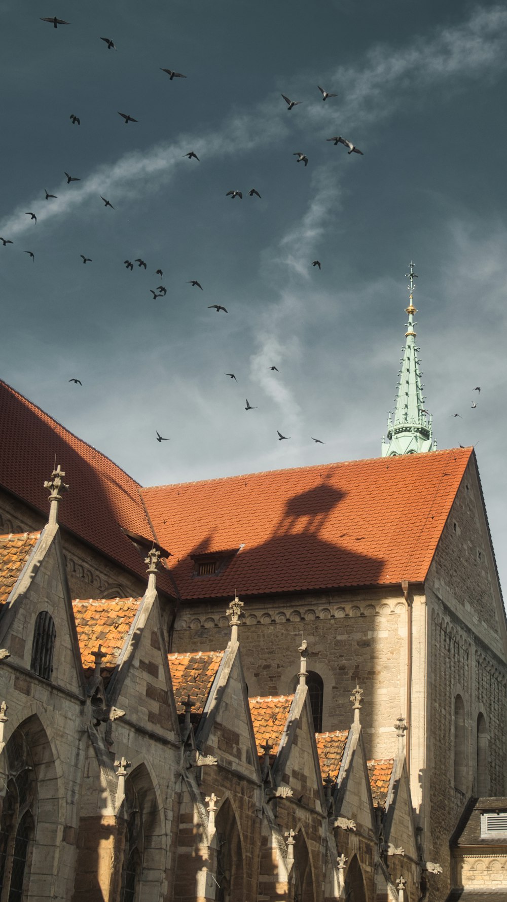 a group of birds flying over a church