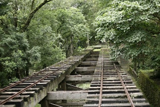 An old wooden railway track stretches across a forested area. The dense foliage of green trees surrounds the tracks, casting dappled shadows on the wooden beams. The scene appears tranquil and untouched by modern development.