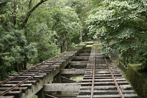 An old wooden railway track stretches across a forested area. The dense foliage of green trees surrounds the tracks, casting dappled shadows on the wooden beams. The scene appears tranquil and untouched by modern development.
