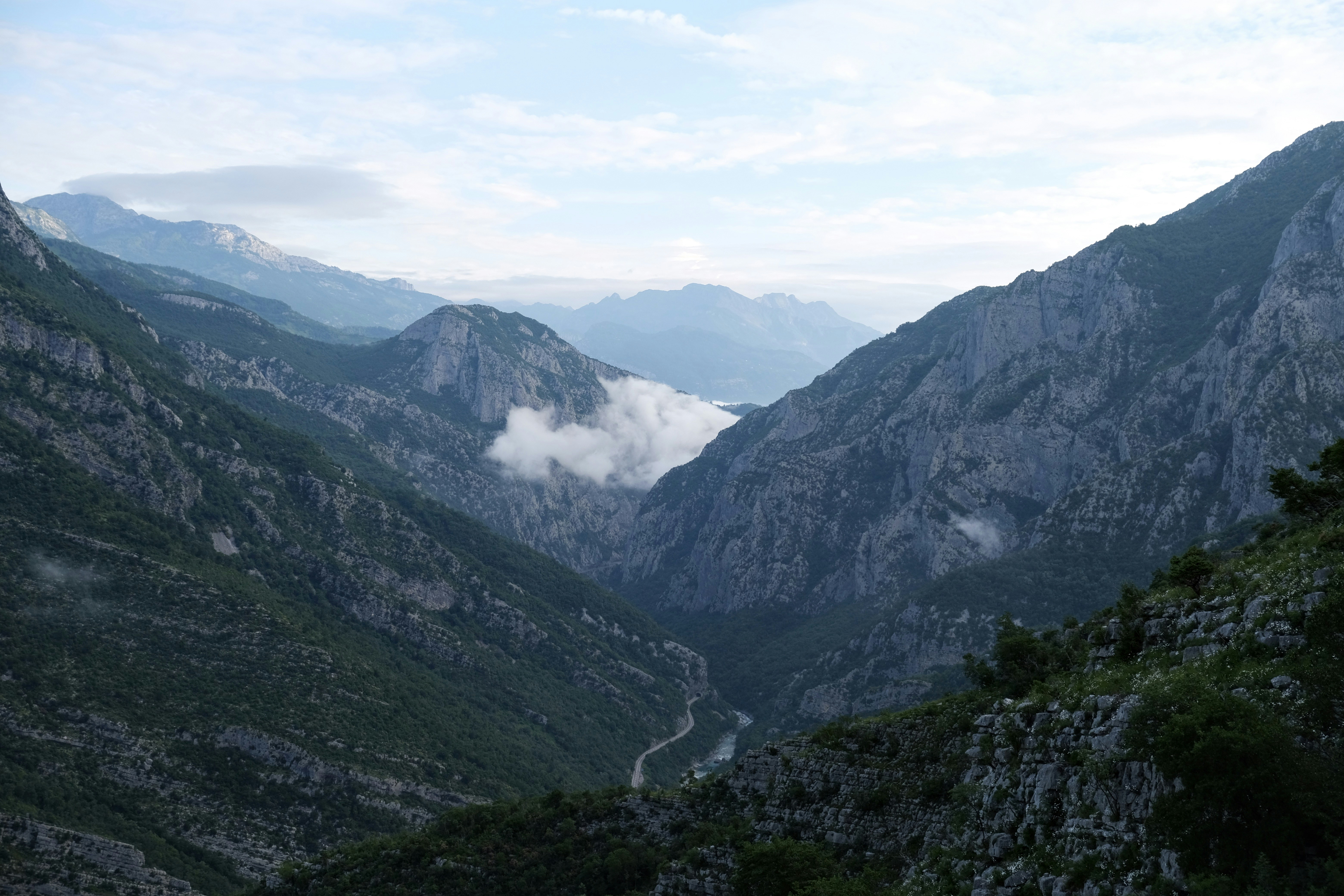 Photo by alexxingplus