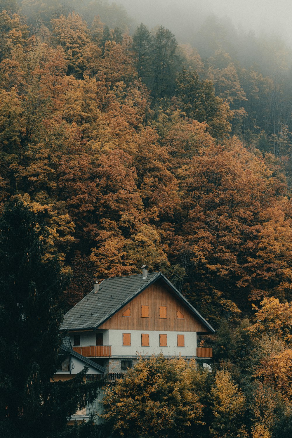 a house in the middle of a forest