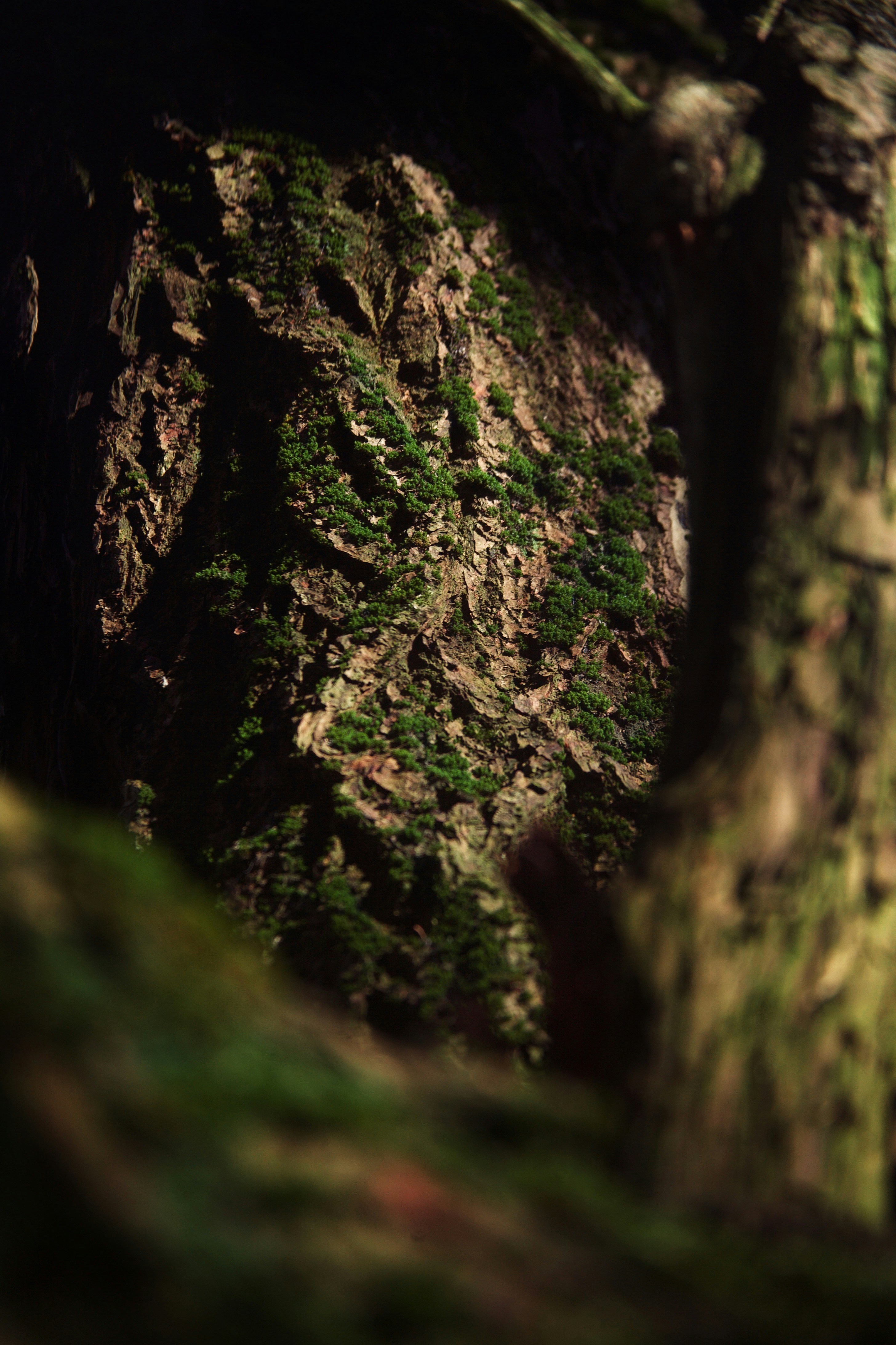 Photo by kristinokarlsen