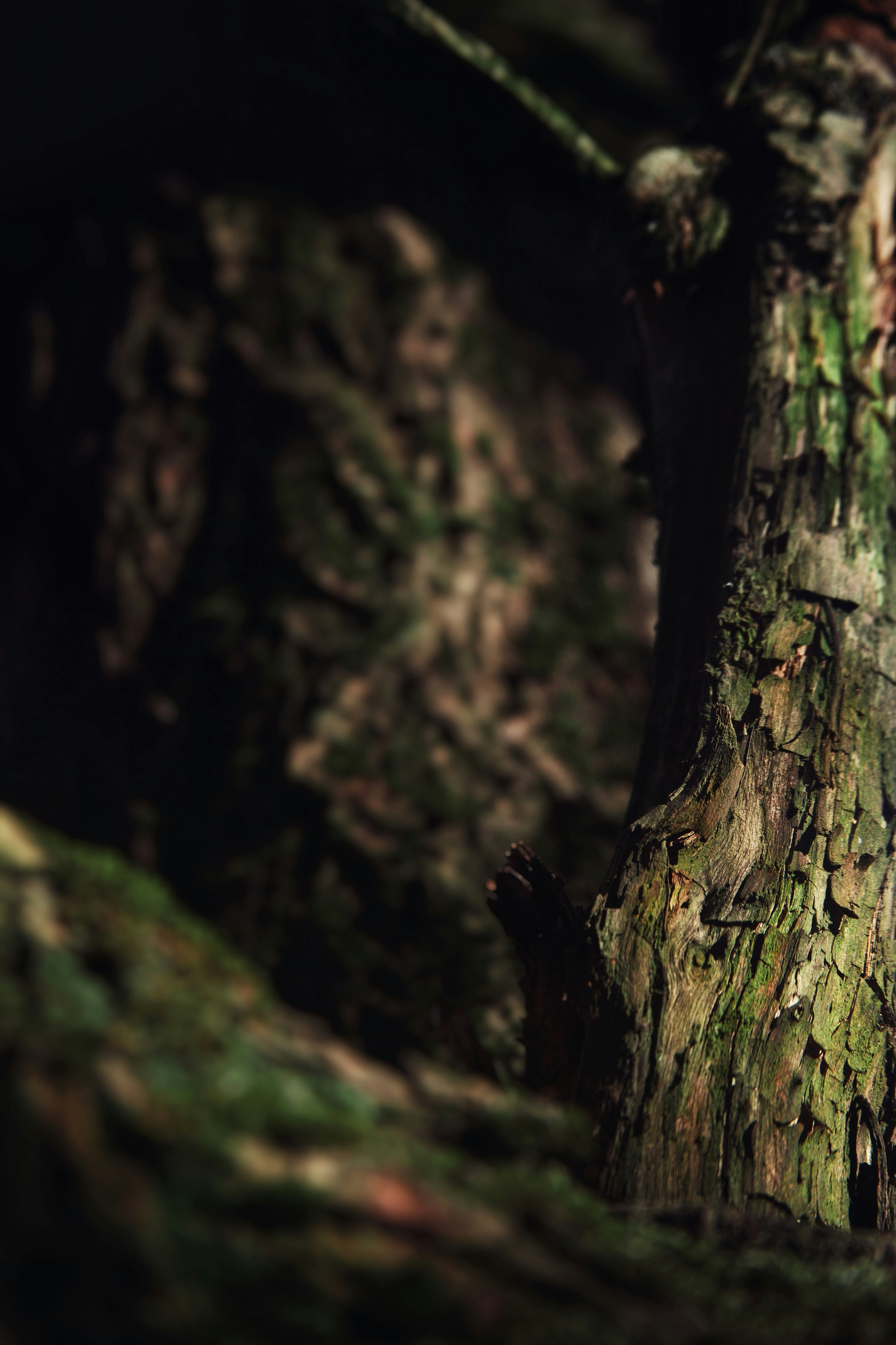 Photo by kristinokarlsen