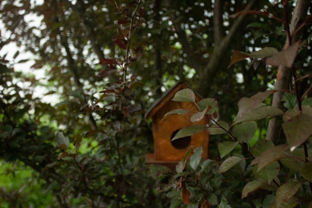 a birdhouse in the middle of some trees