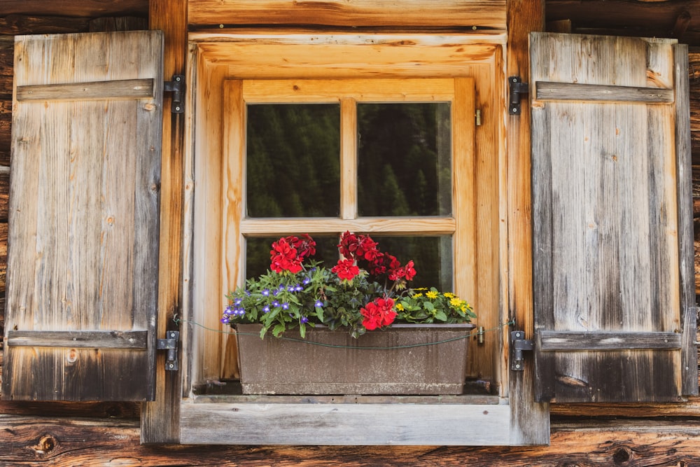 a window with wooden shutters and flowers in a pot