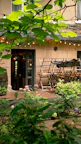 Outdoor patio with cozy seating surrounded by lush greenery.