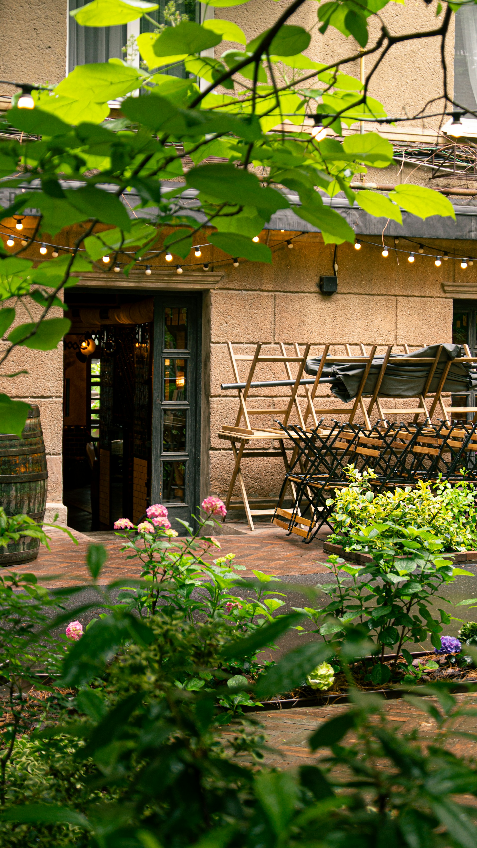 A cozy outdoor patio with comfortable seating and lush green plants.