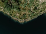 Aerial view of dense greenery along a coastline with a path or boardwalk running parallel to the water. The water is dark and appears calm, contrasting with the vibrant green hues of the foliage.