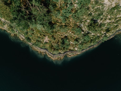 Aerial view of dense greenery along a coastline with a path or boardwalk running parallel to the water. The water is dark and appears calm, contrasting with the vibrant green hues of the foliage.
