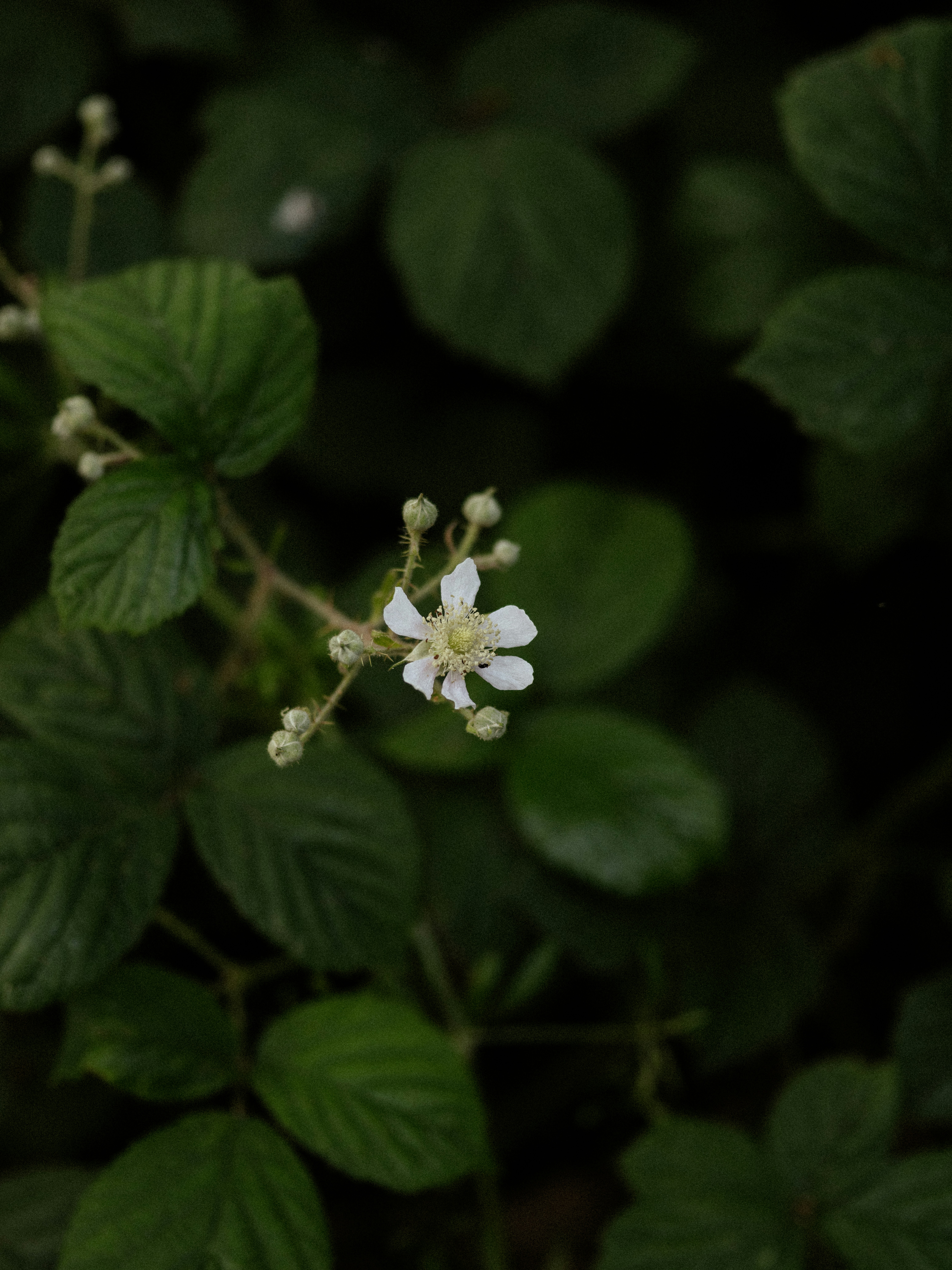 Photo by anniespratt