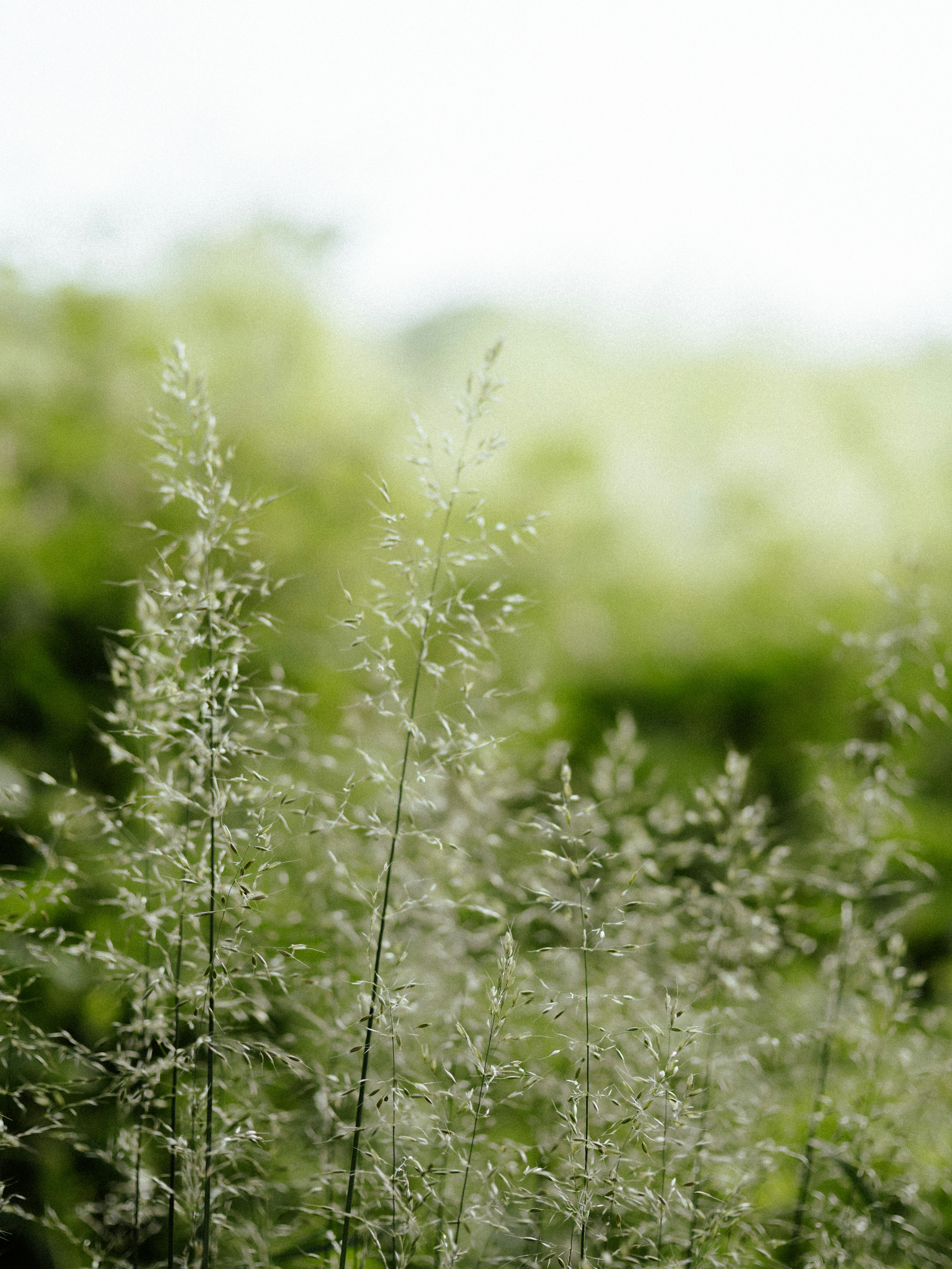 Photo by anniespratt