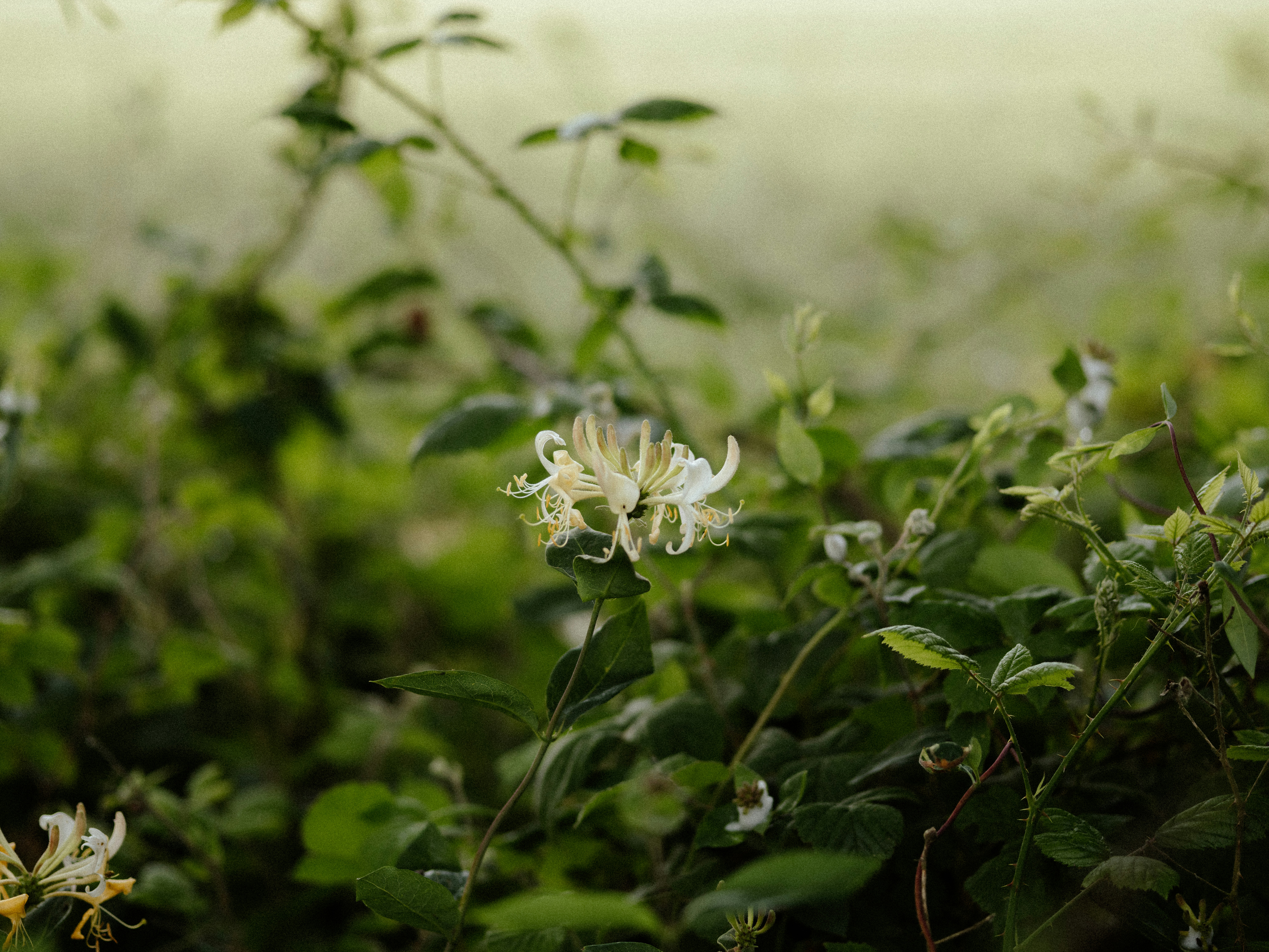 Photo by anniespratt