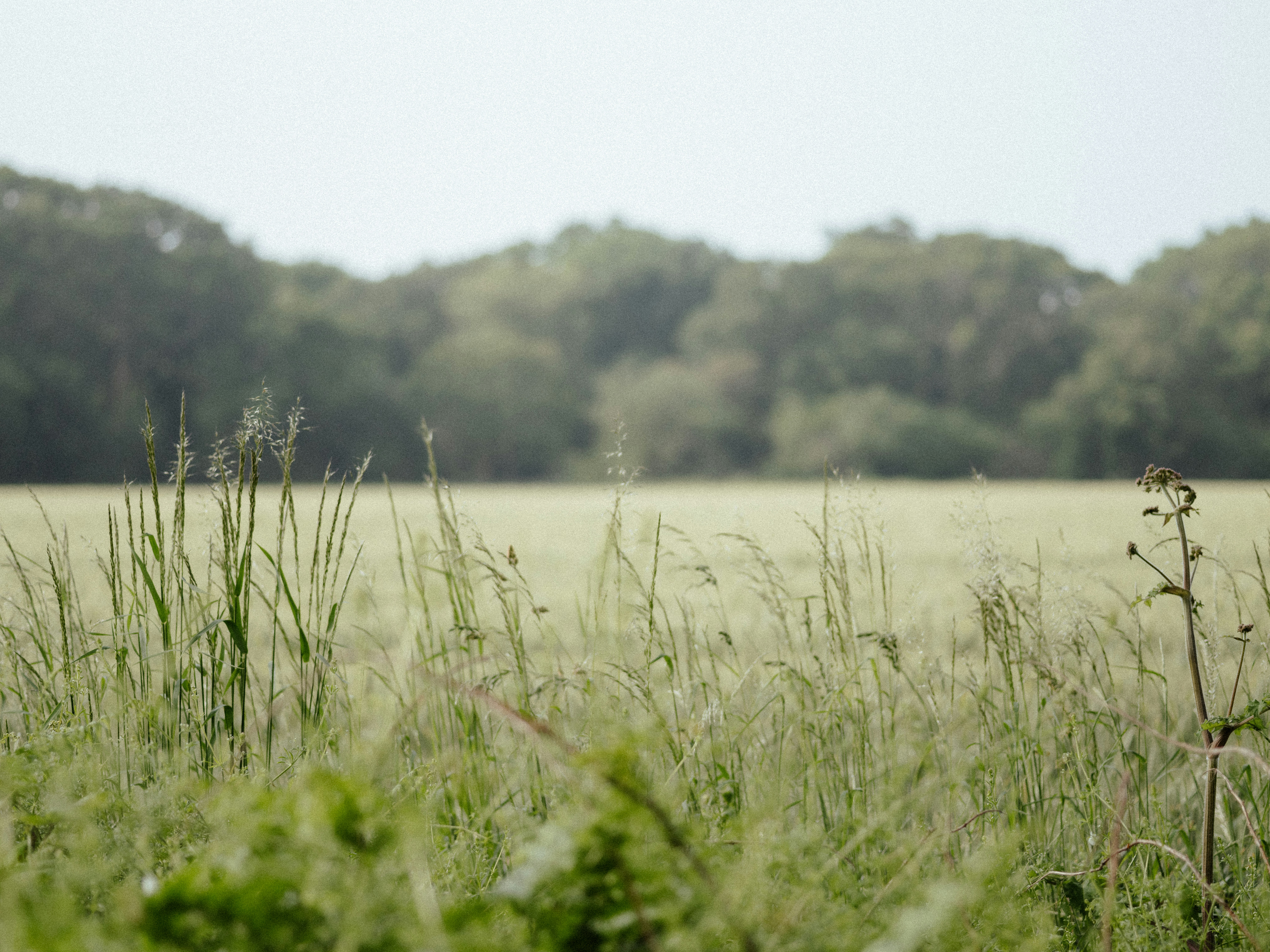 Photo by anniespratt