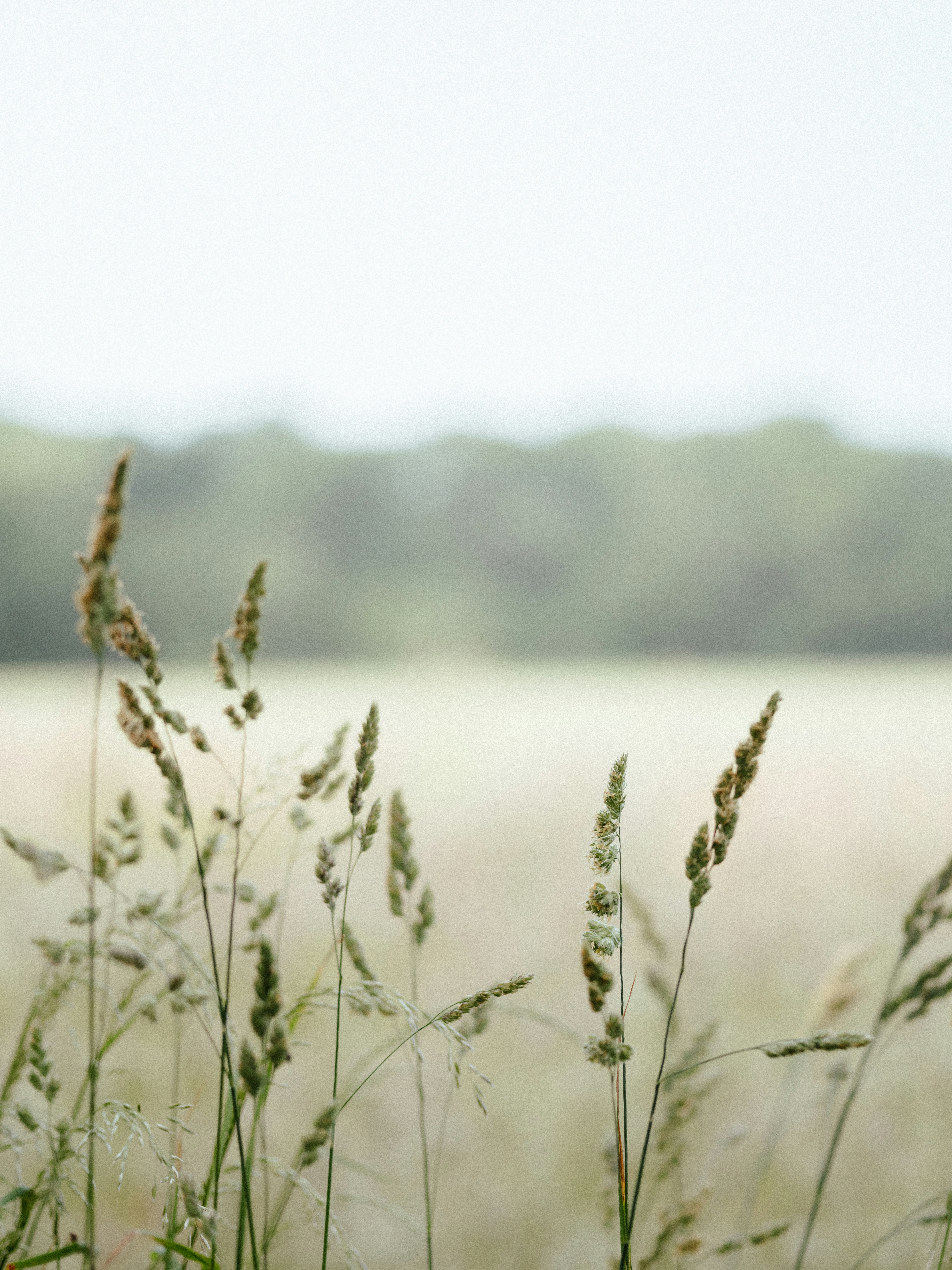 Photo by anniespratt