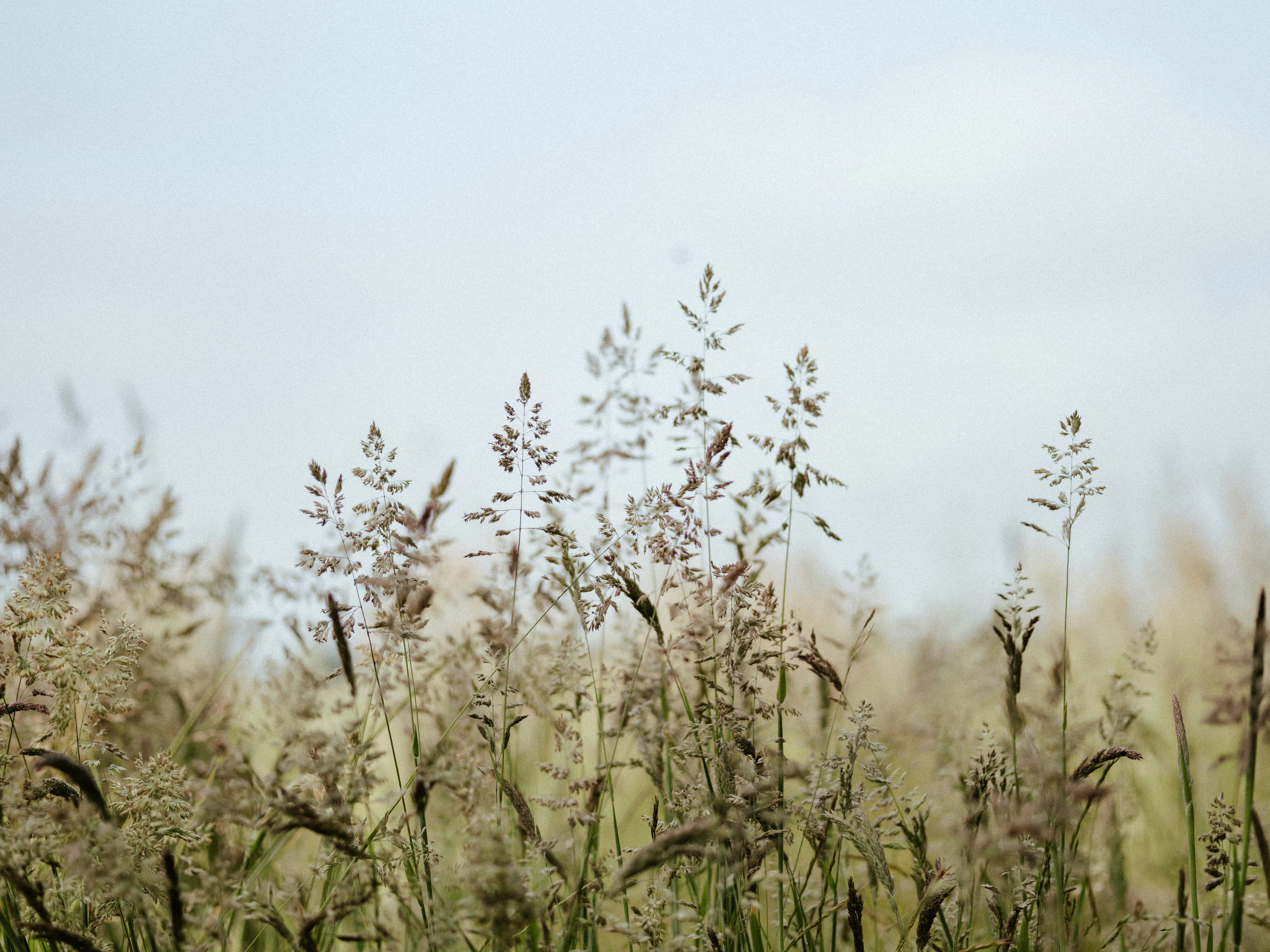 Photo by anniespratt