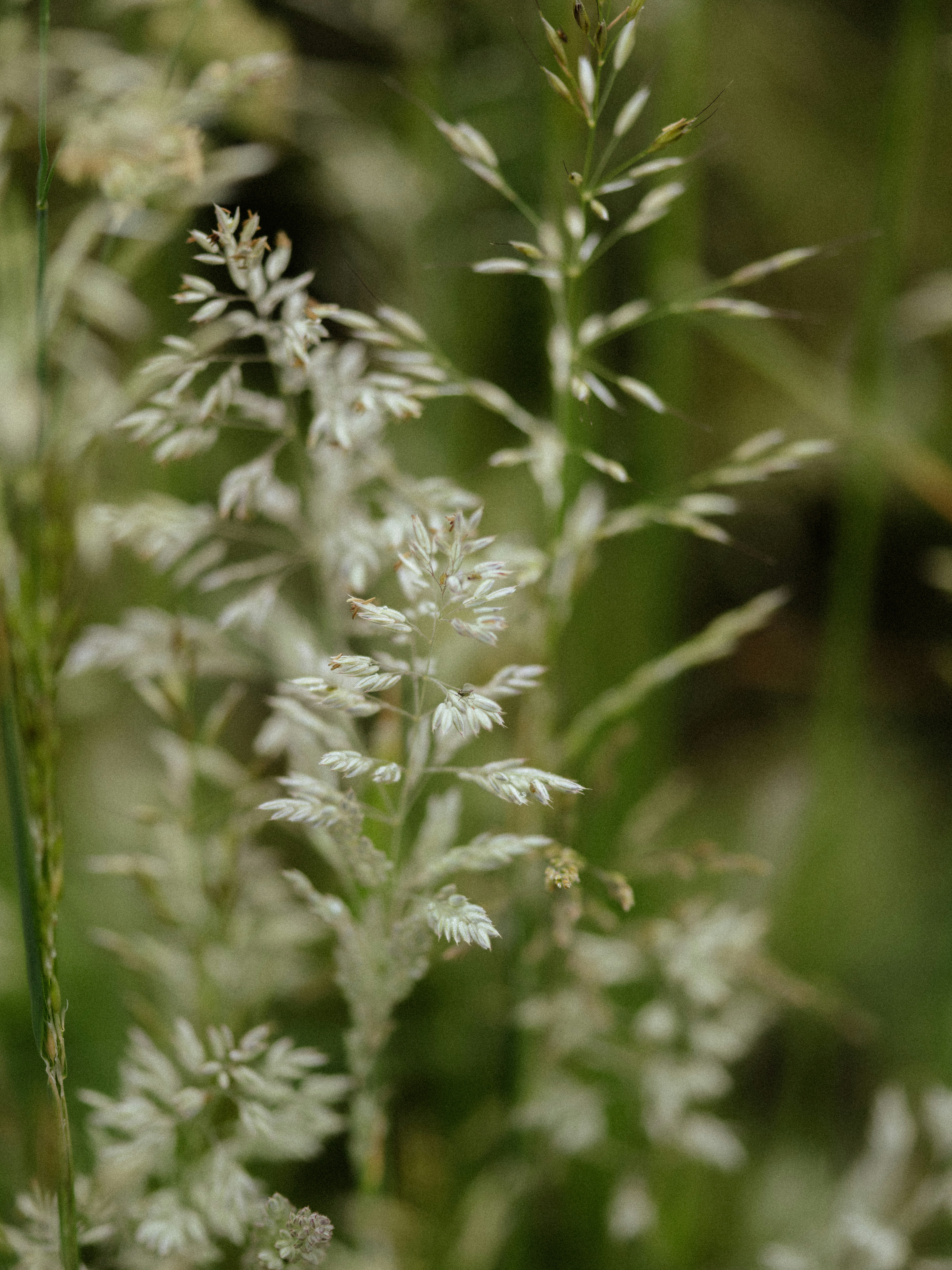 Photo by anniespratt