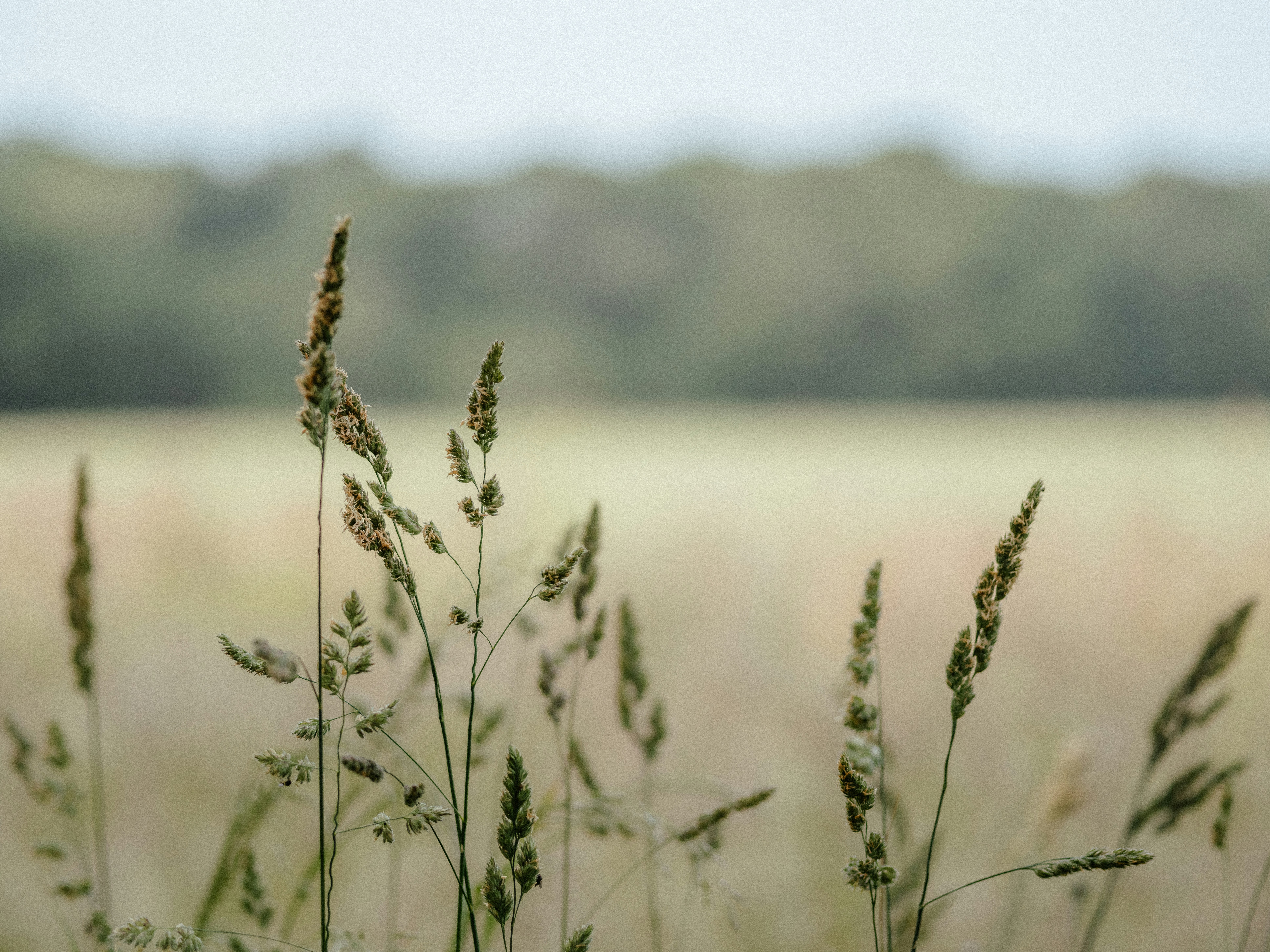 Photo by anniespratt