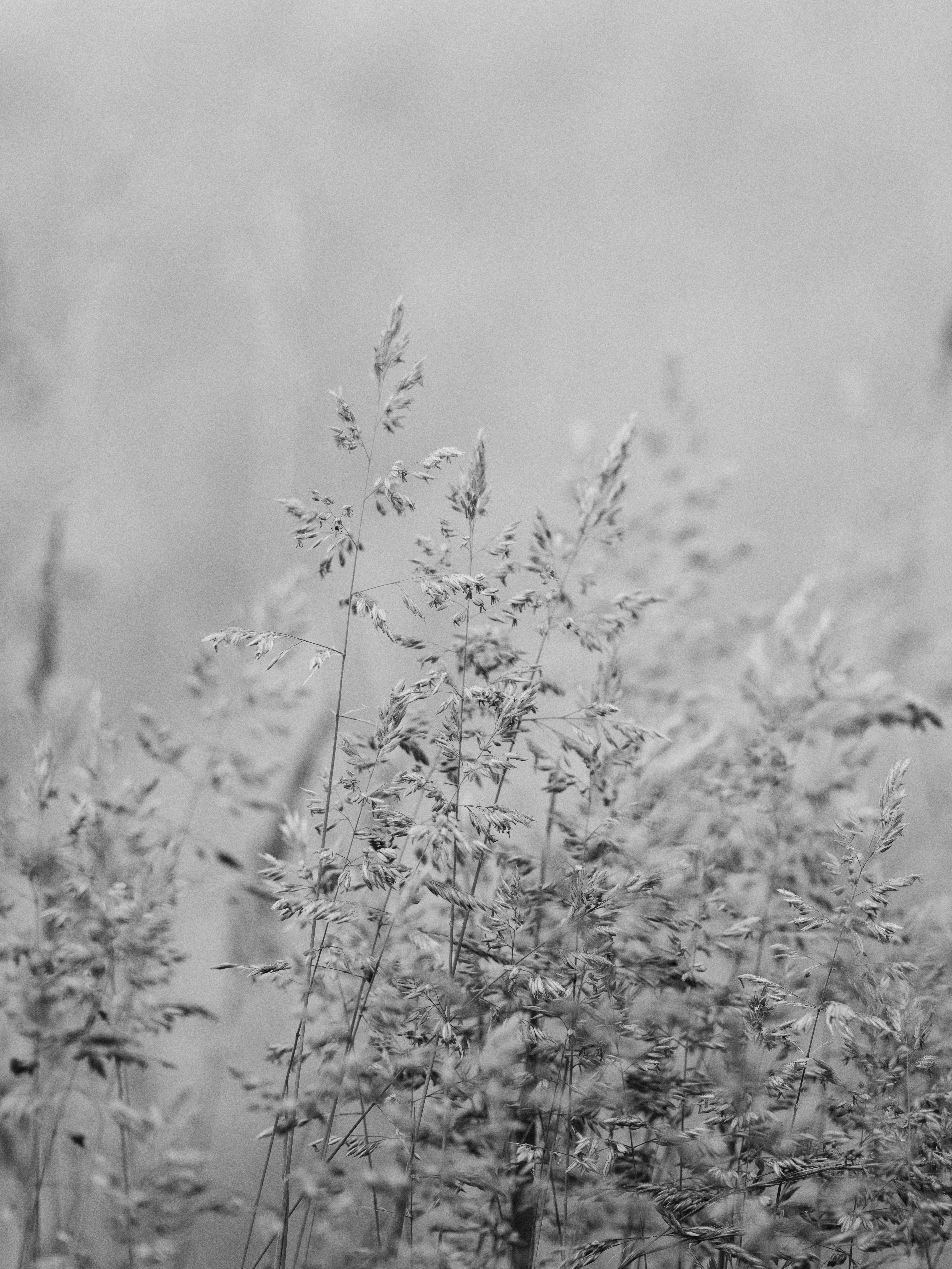 Photo by anniespratt