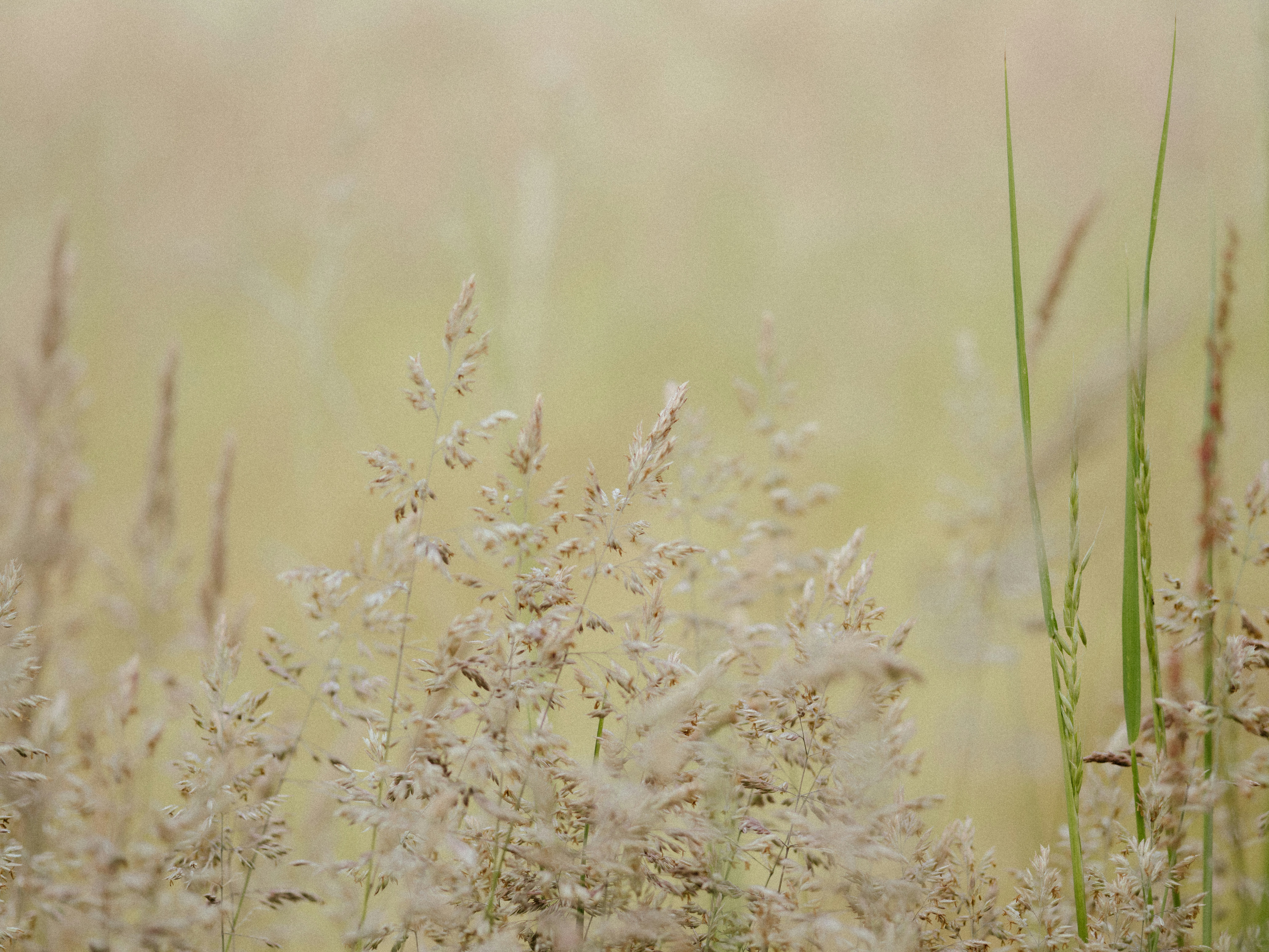 Photo by anniespratt