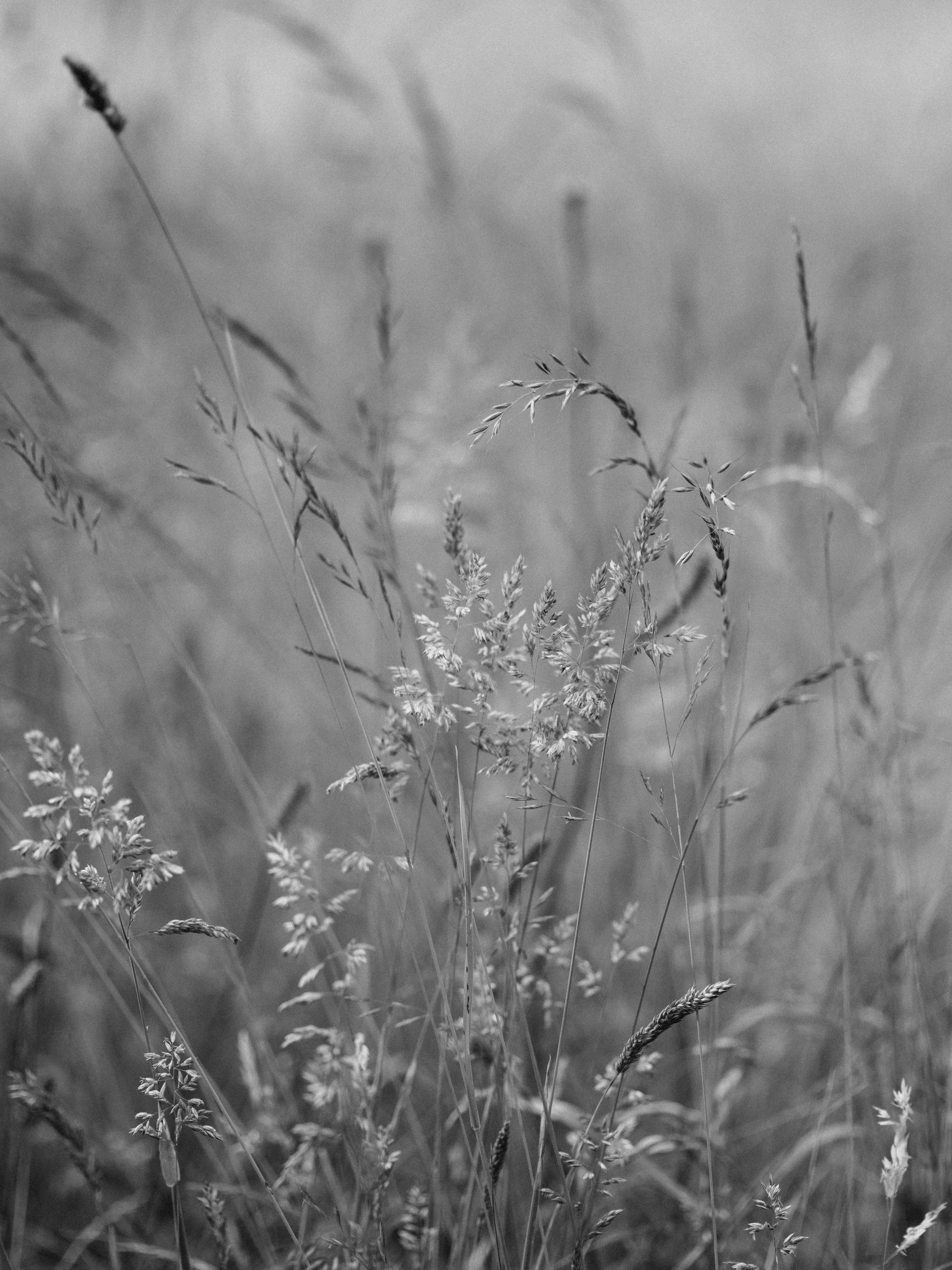 Photo by anniespratt