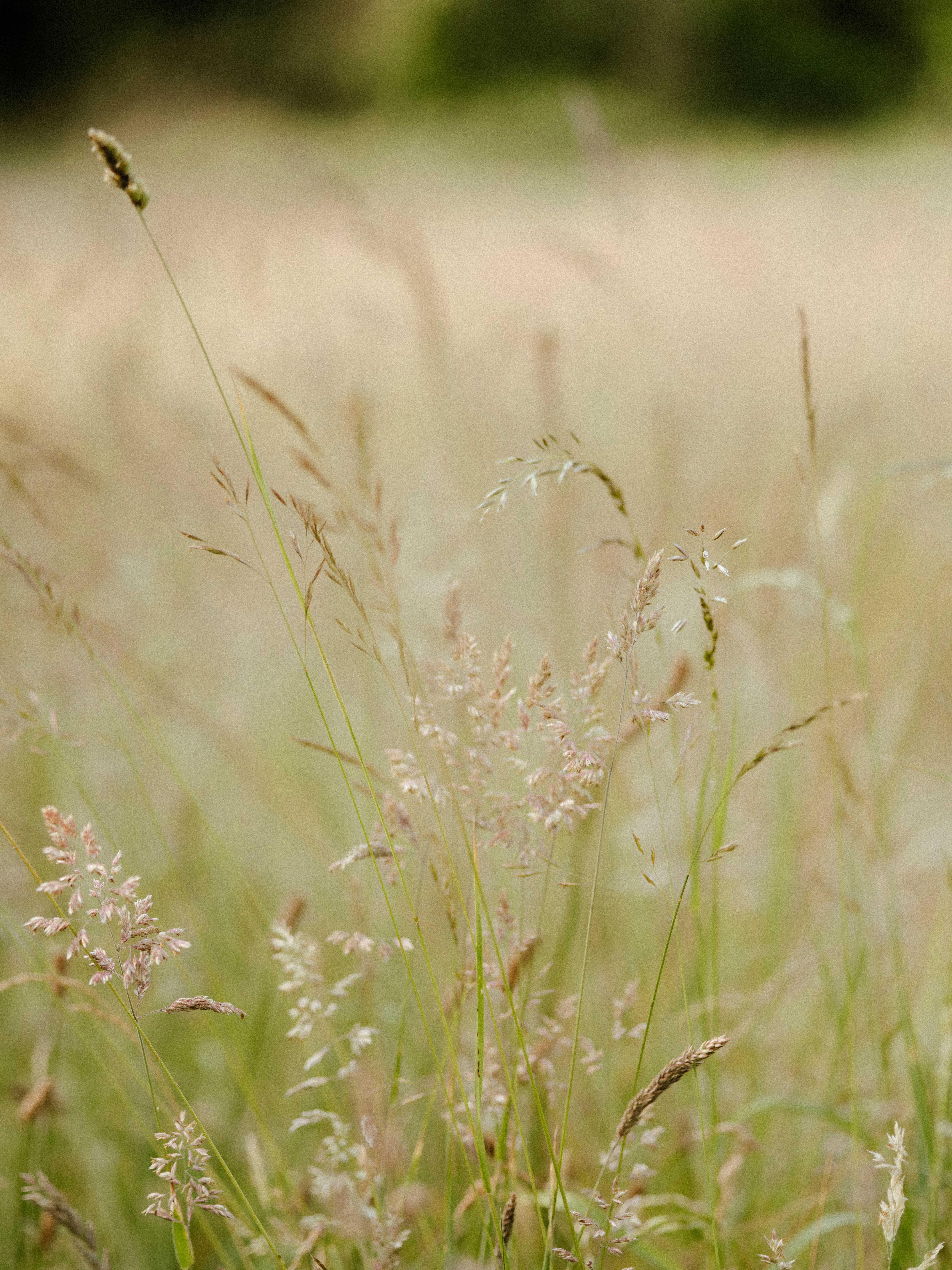 Photo by anniespratt