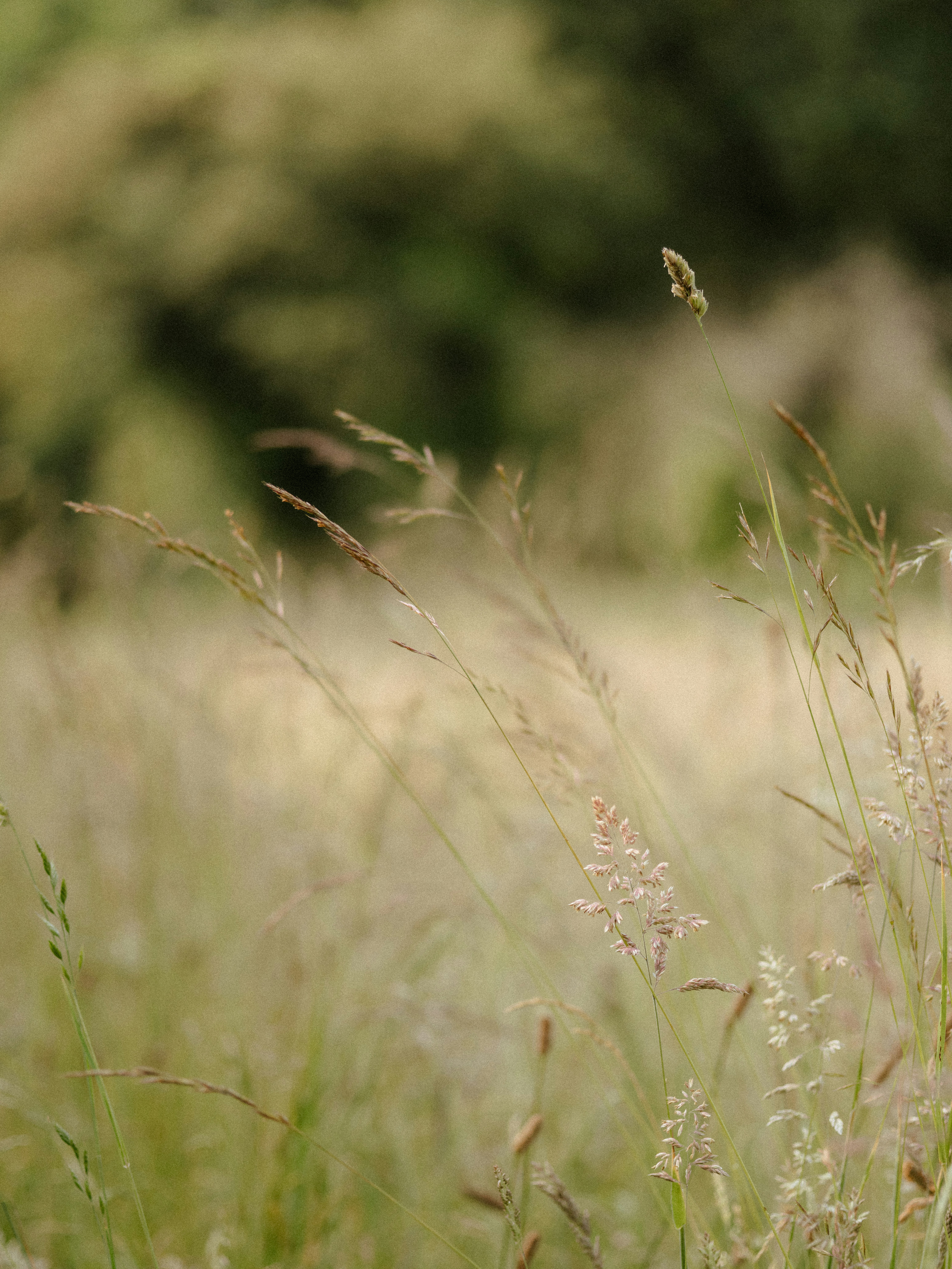 Photo by anniespratt