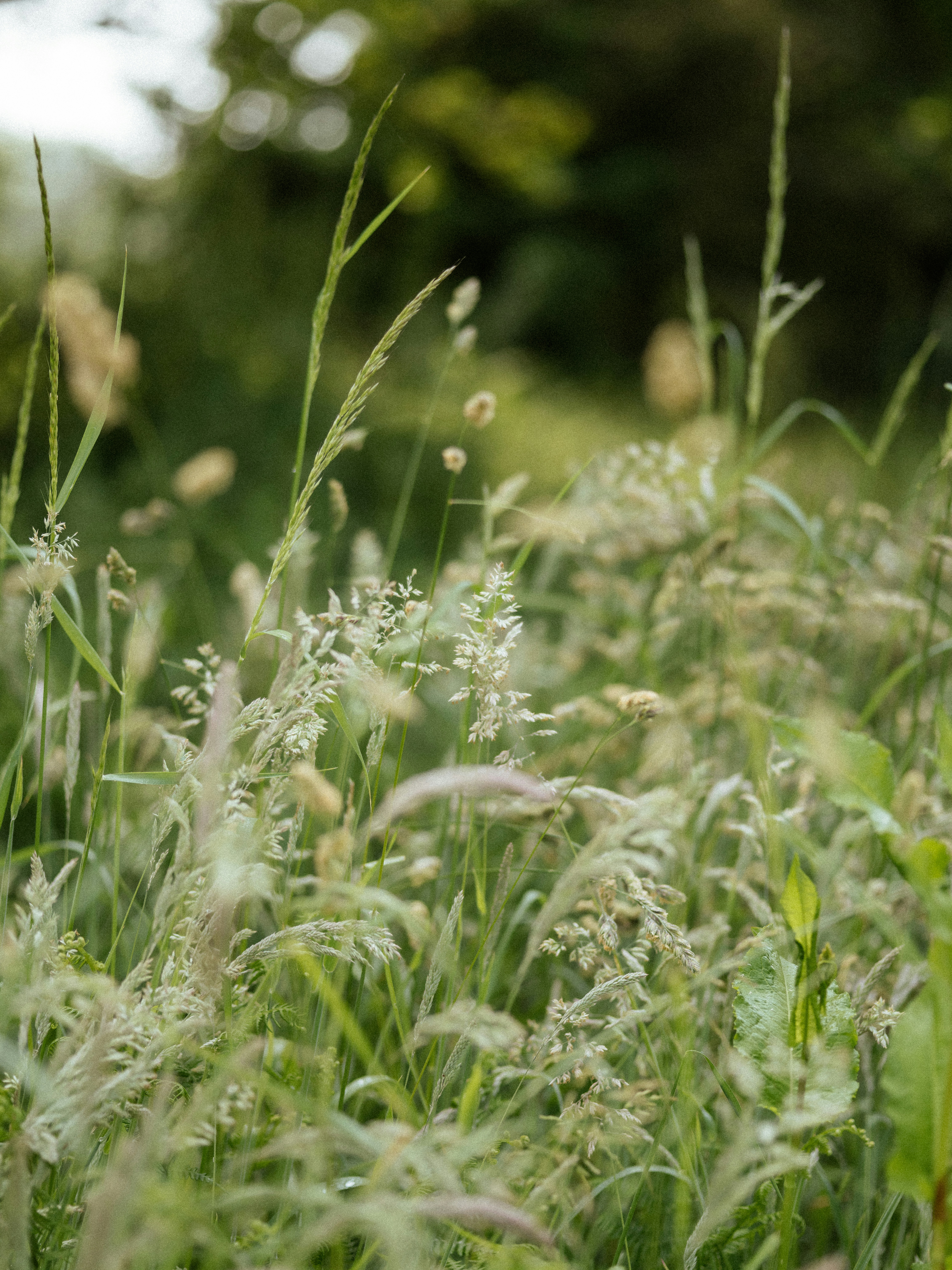 Photo by anniespratt