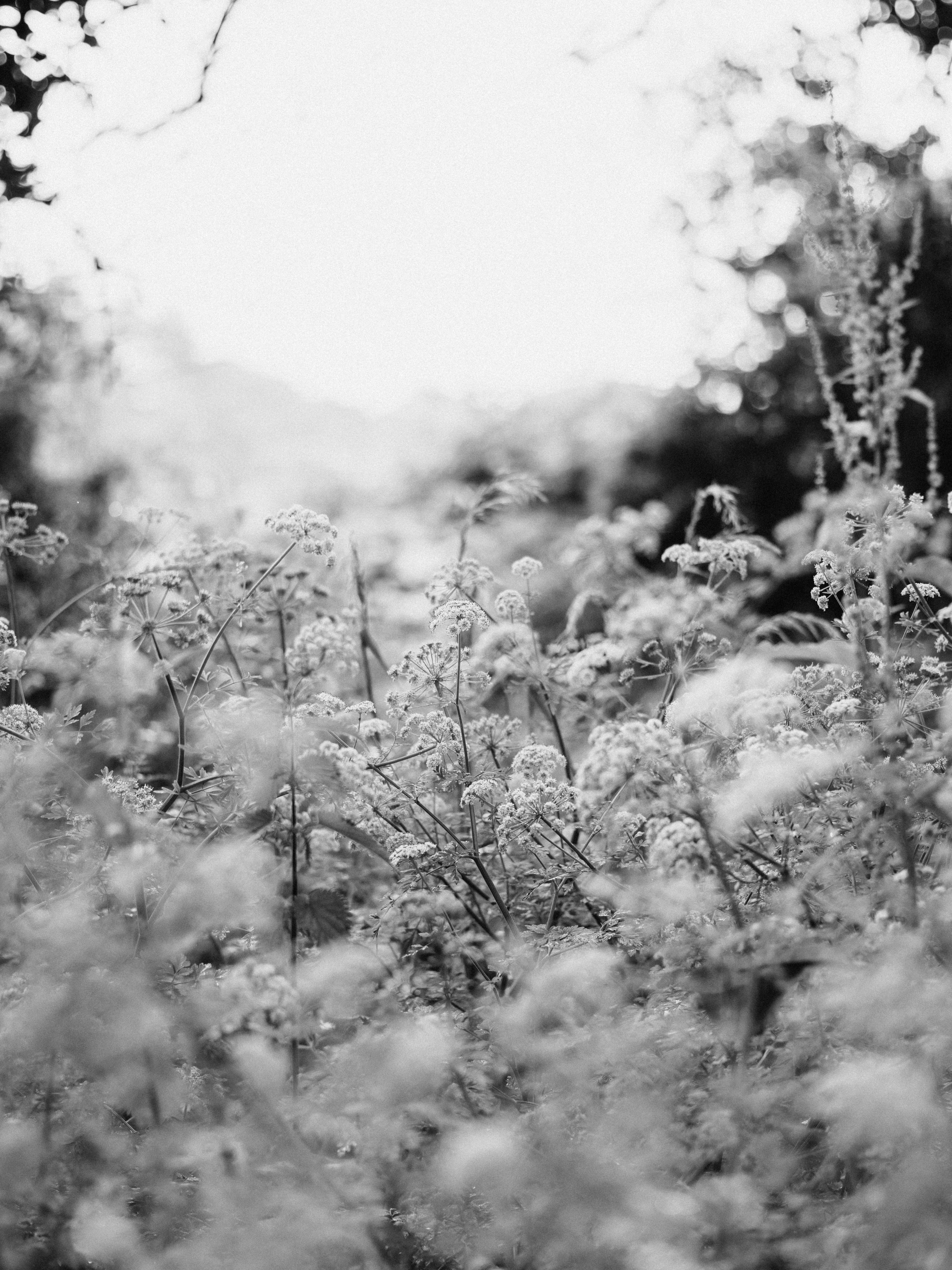 Photo by anniespratt