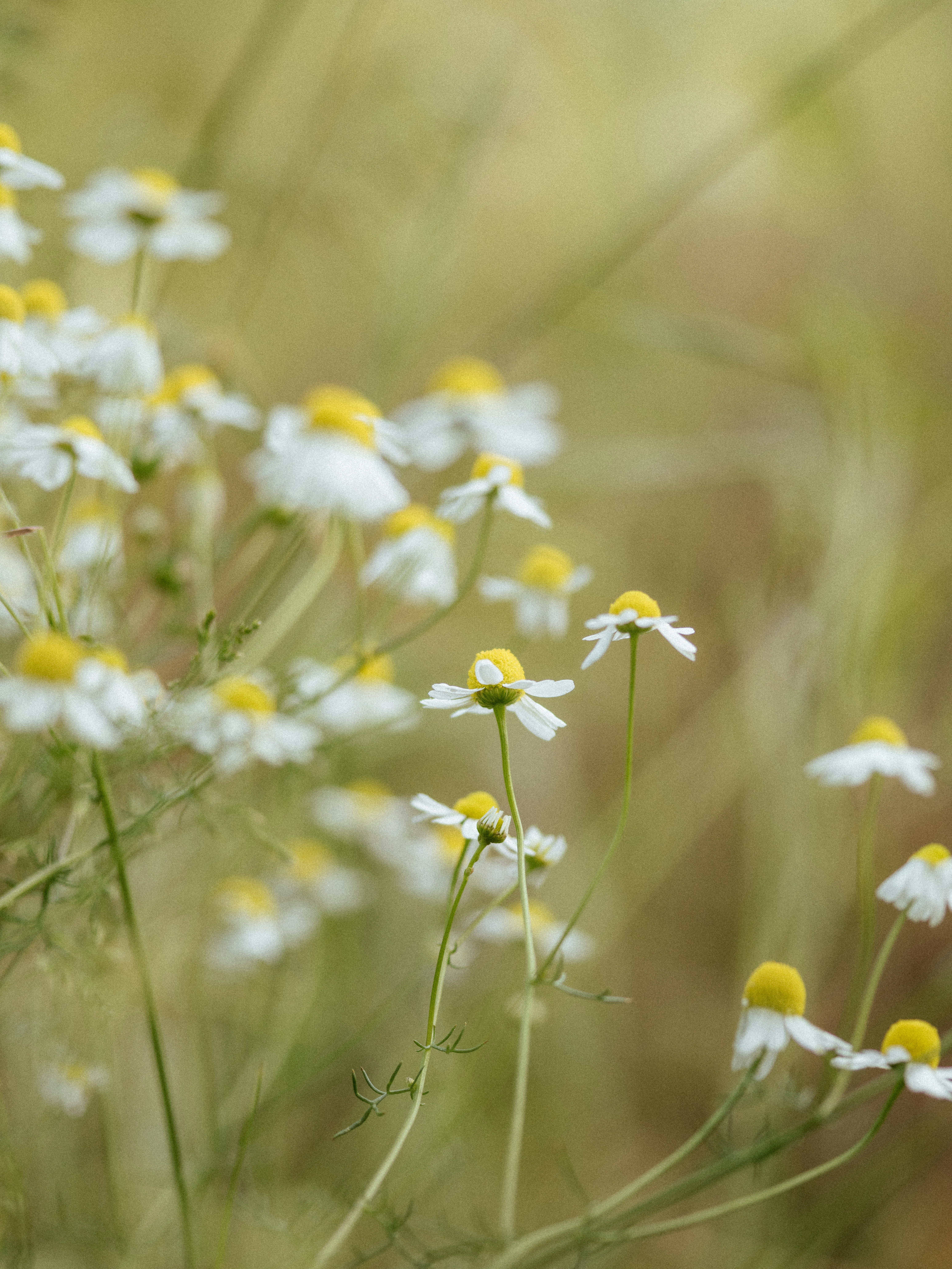 Photo by anniespratt