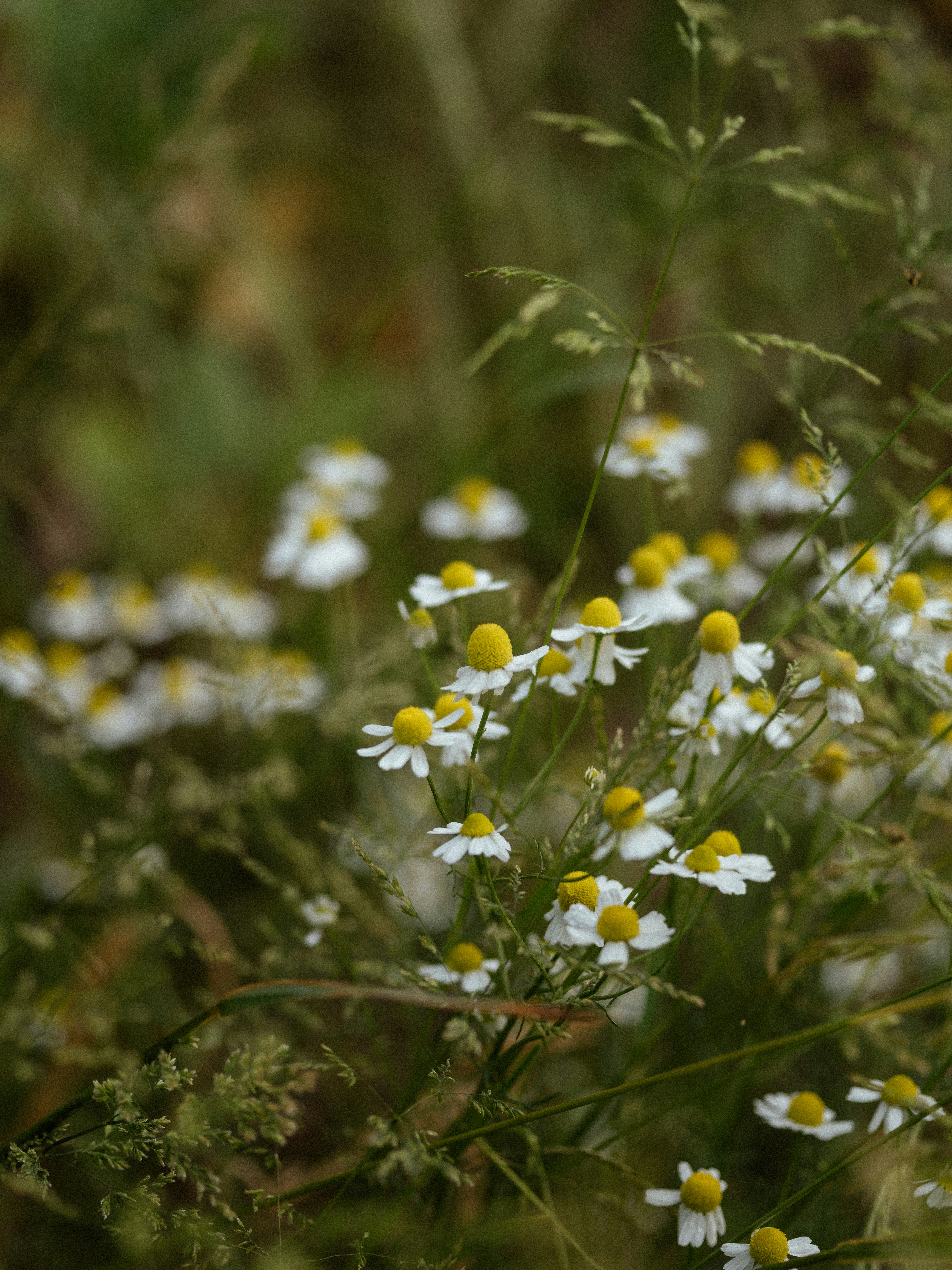 Photo by anniespratt