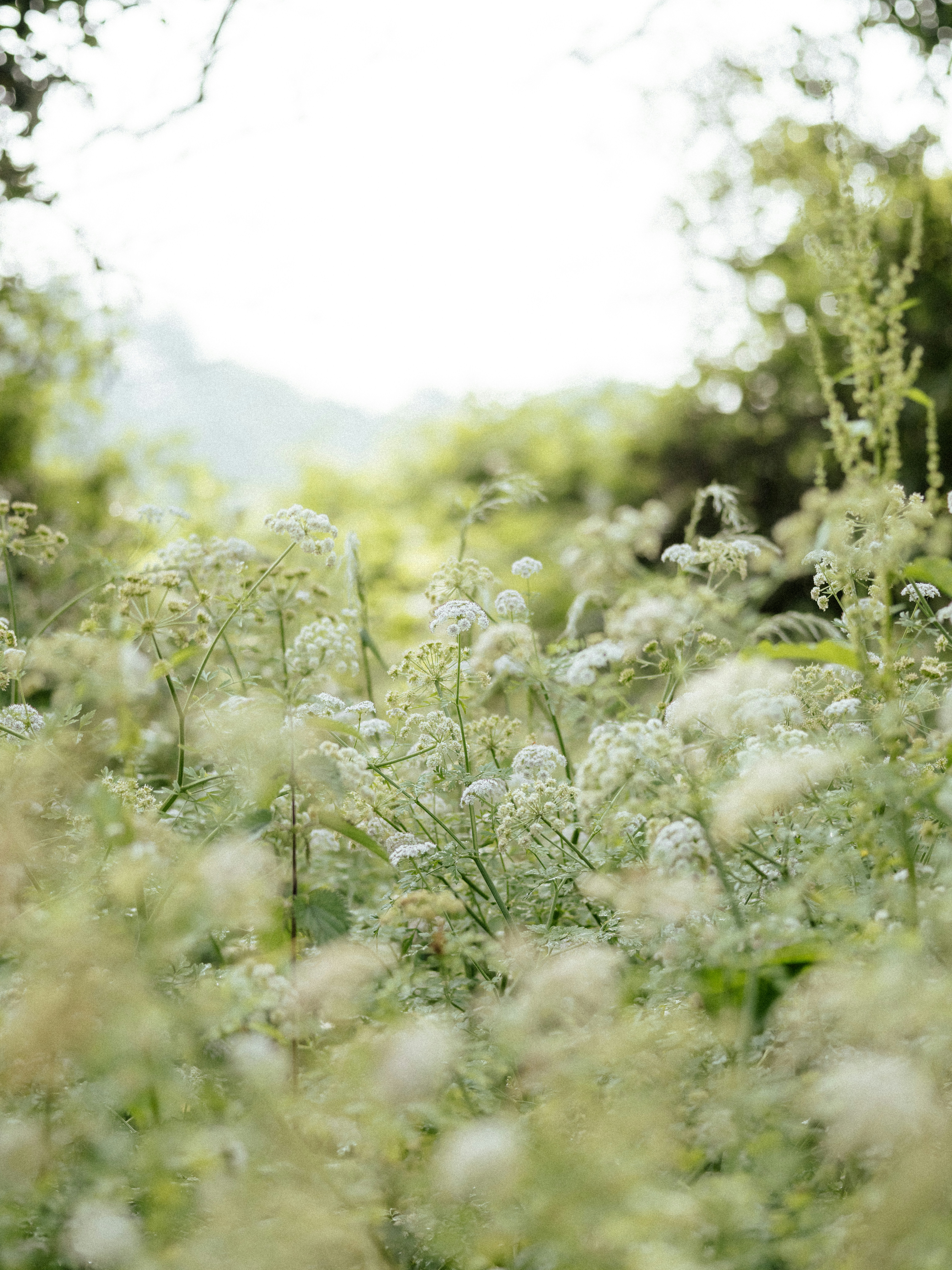 Photo by anniespratt