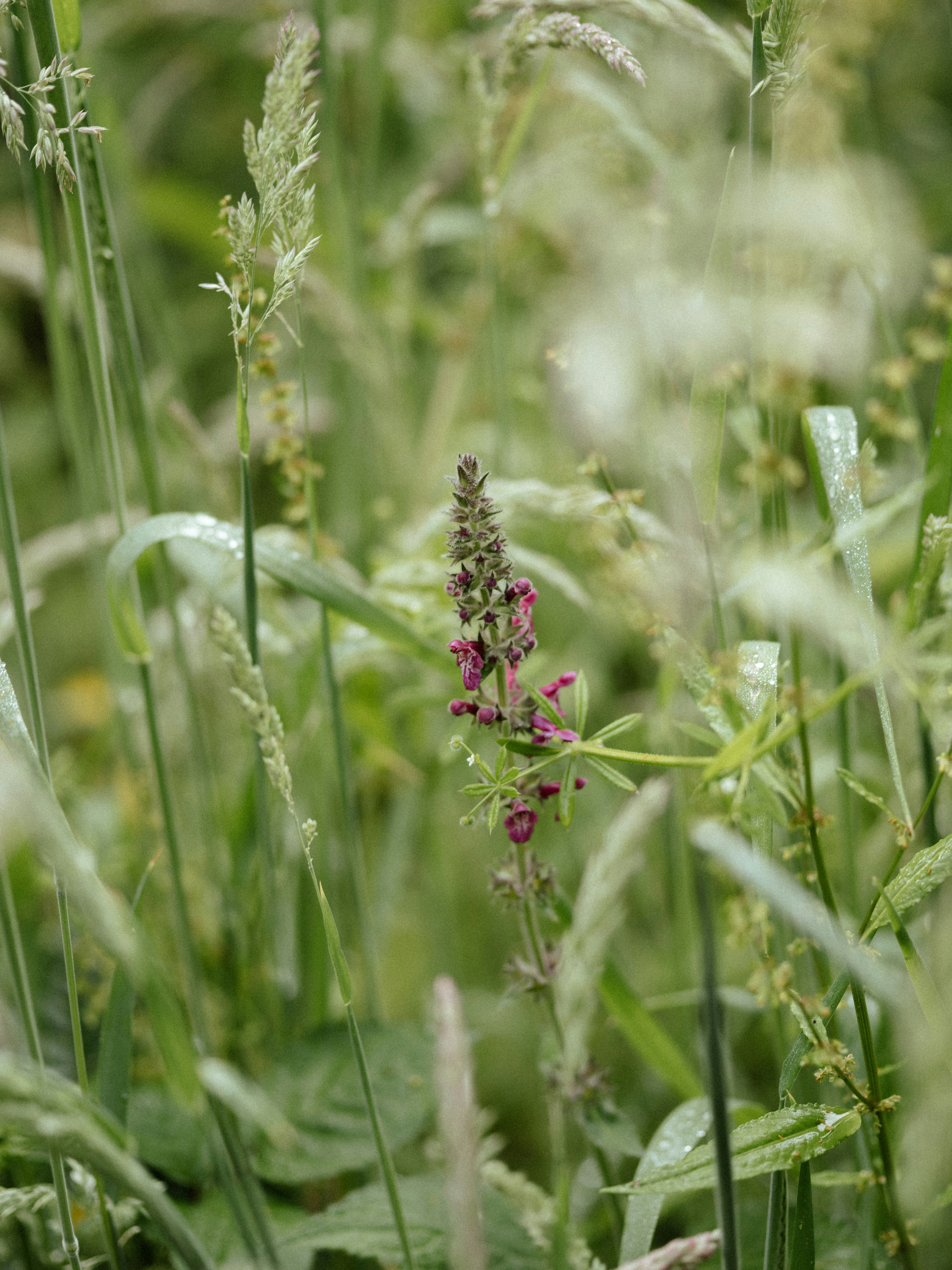 Photo by anniespratt