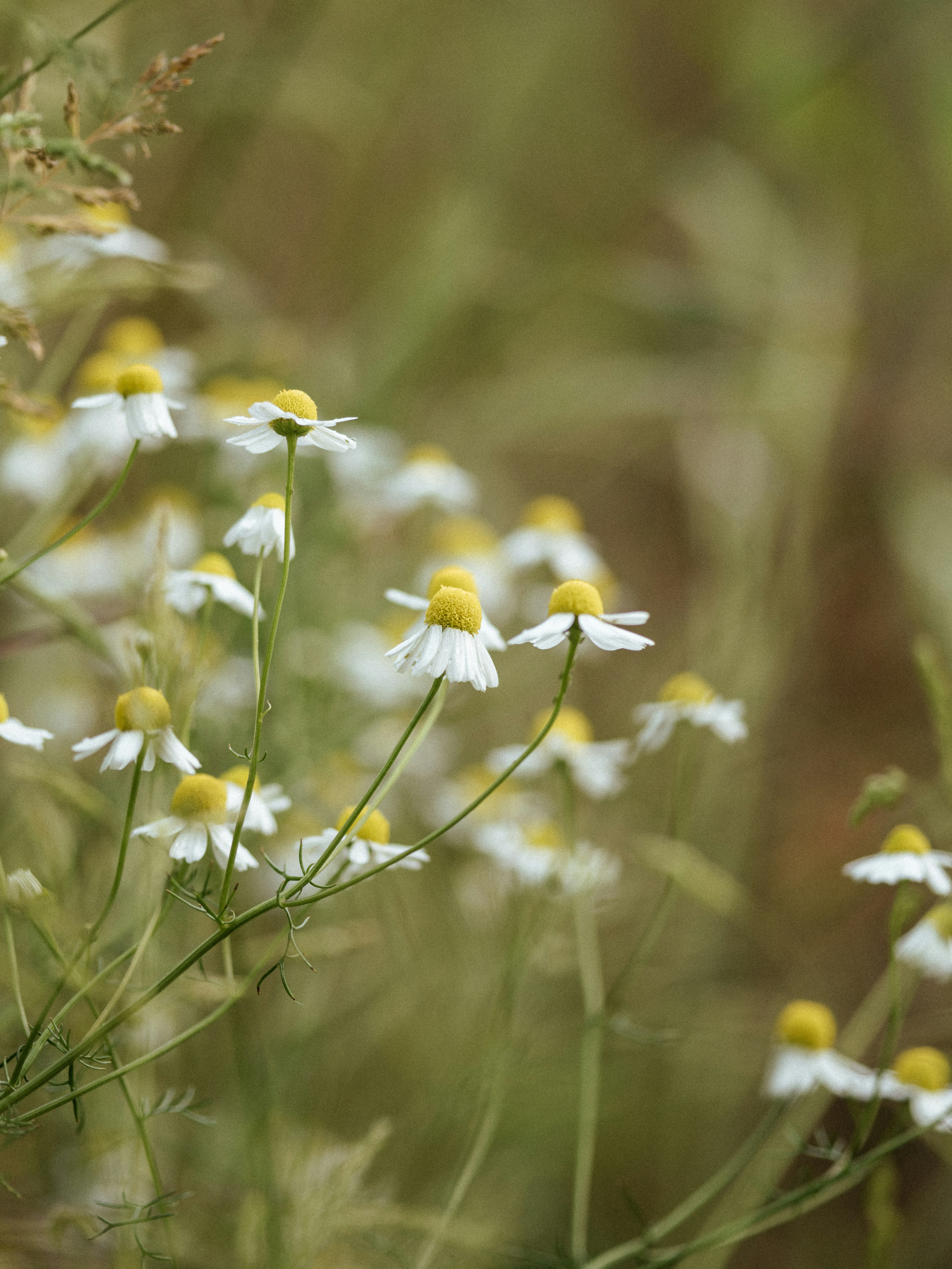 Photo by anniespratt