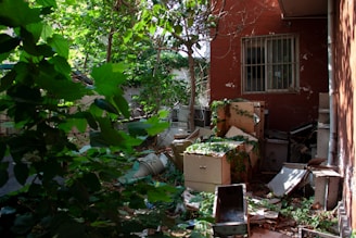 An outdoor scene shows a neglected area with overgrown greenery and abandoned office furniture, including filing cabinets and scattered debris. The background includes a brick wall with a barred window.