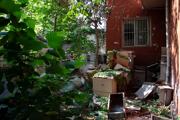 An outdoor scene shows a neglected area with overgrown greenery and abandoned office furniture, including filing cabinets and scattered debris. The background includes a brick wall with a barred window.
