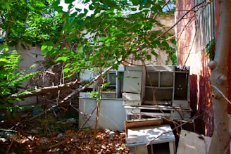 An overgrown outdoor area with dense, green foliage encroaching upon a pile of old, dilapidated furniture. The furniture appears weathered and is stacked haphazardly against a wall. Fallen leaves and debris litter the ground, enhancing the sense of abandonment.