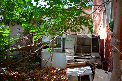 A backyard overrun with yard waste and debris before service.