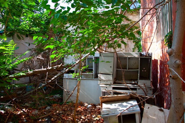 An overgrown outdoor area with dense, green foliage encroaching upon a pile of old, dilapidated furniture. The furniture appears weathered and is stacked haphazardly against a wall. Fallen leaves and debris litter the ground, enhancing the sense of abandonment.