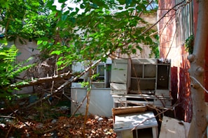 A neatly cleared yard after hauling away old furniture and yard waste.