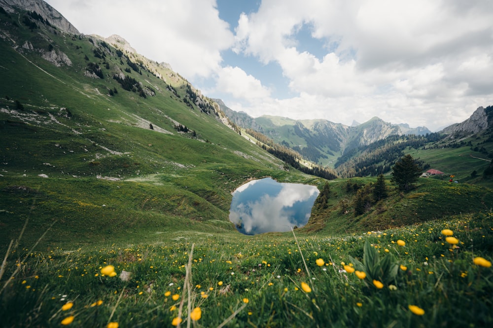 a small lake surrounded by green hills and yellow flowers