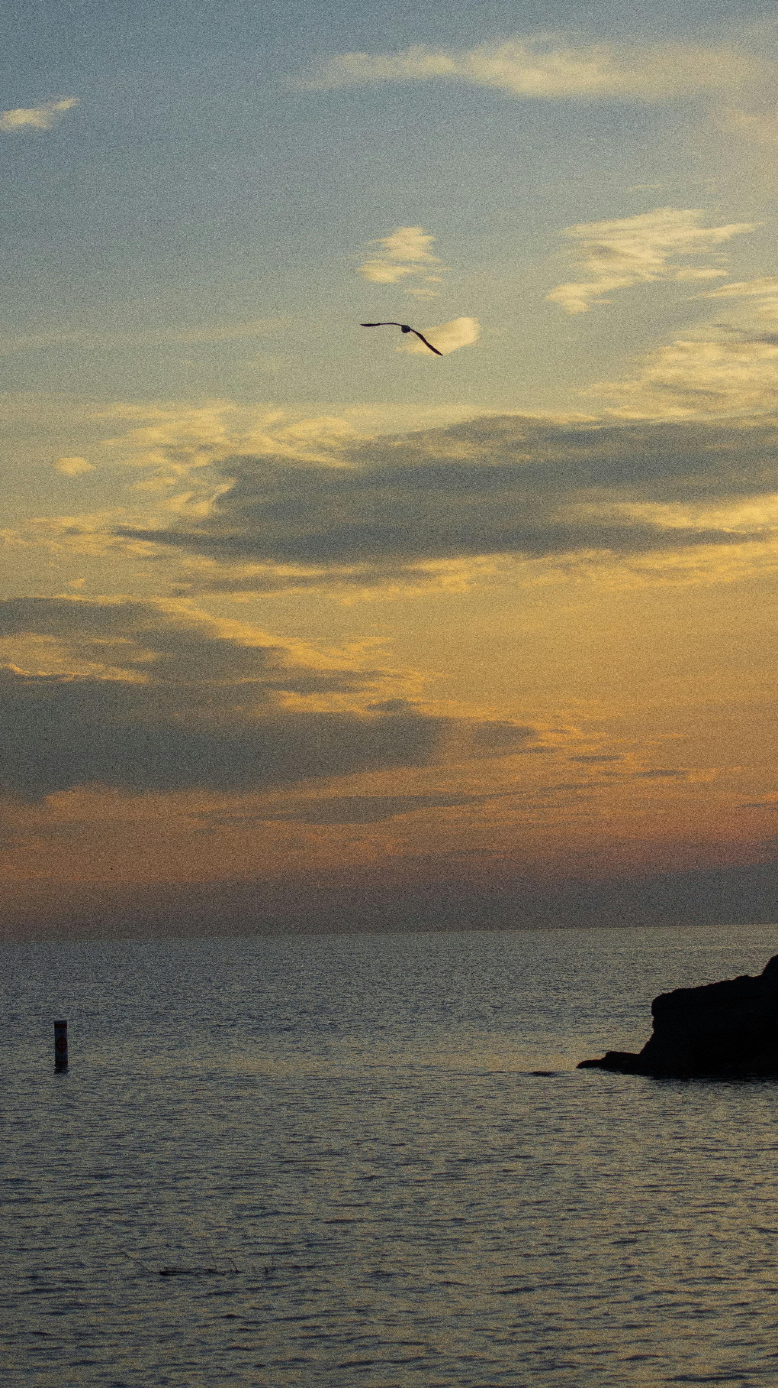 Photo by ameteku
