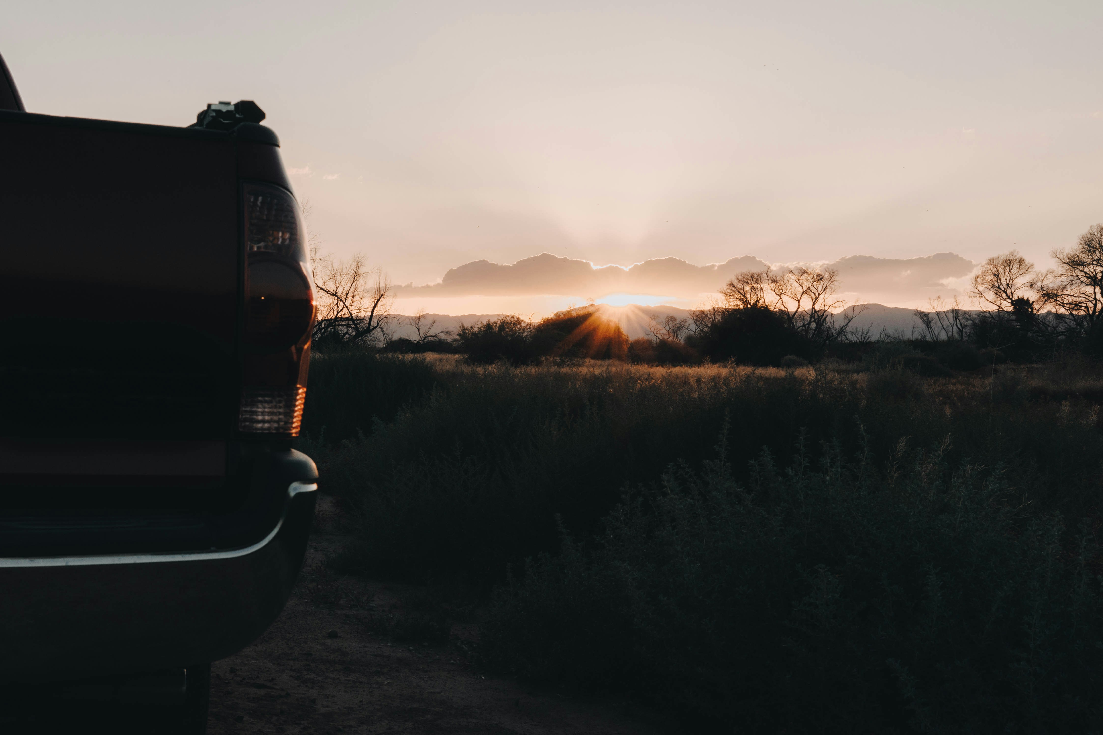 Photo by jeffersonsees