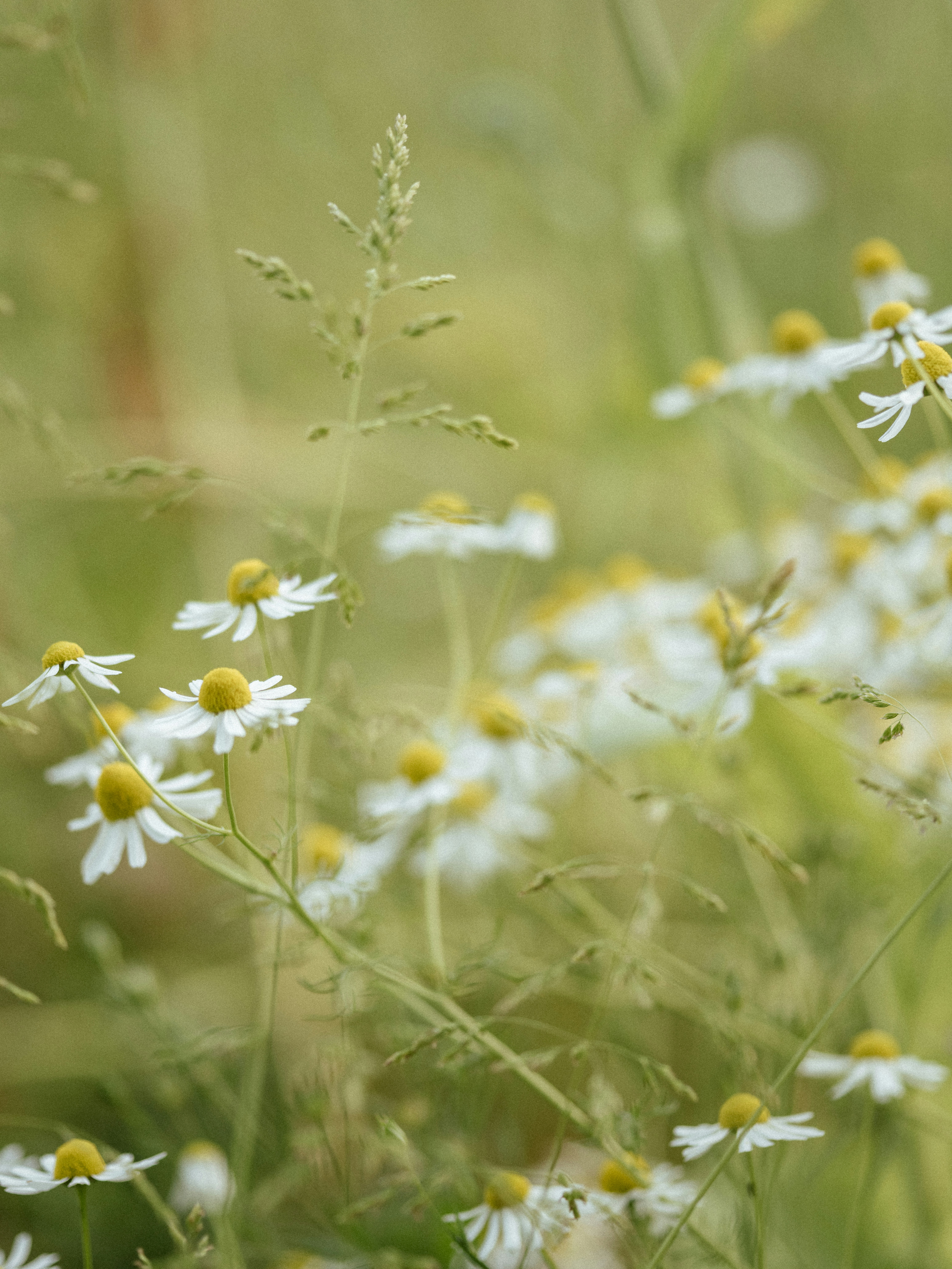 Photo by anniespratt