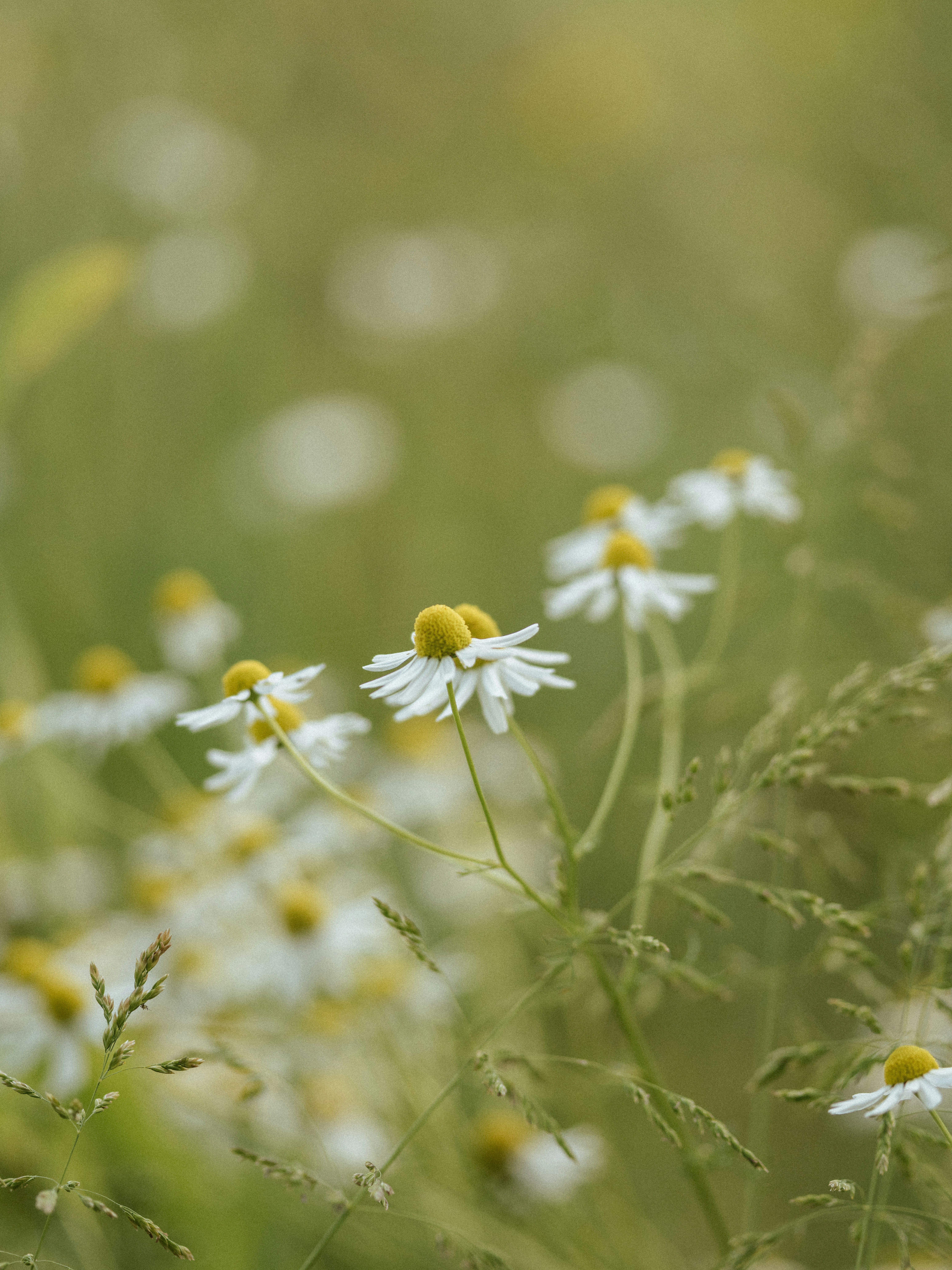 Photo by anniespratt