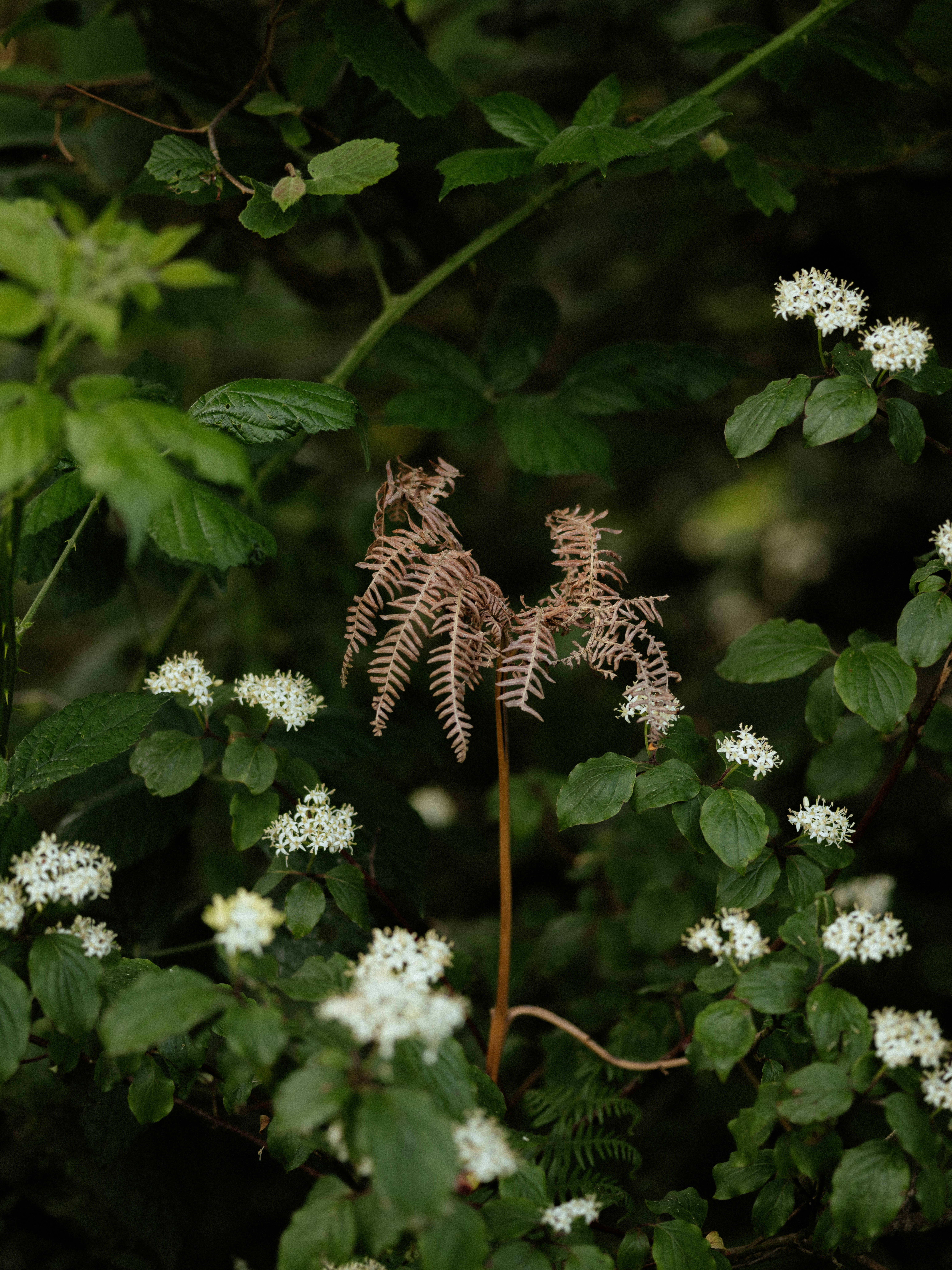 Photo by anniespratt